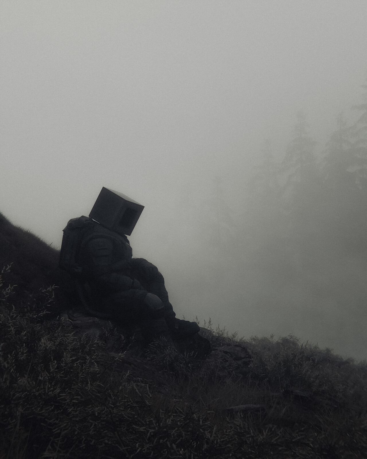 distant haven