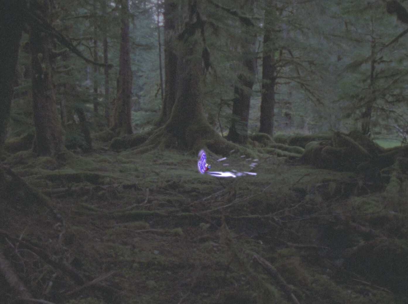 Magic portal, The Stand  