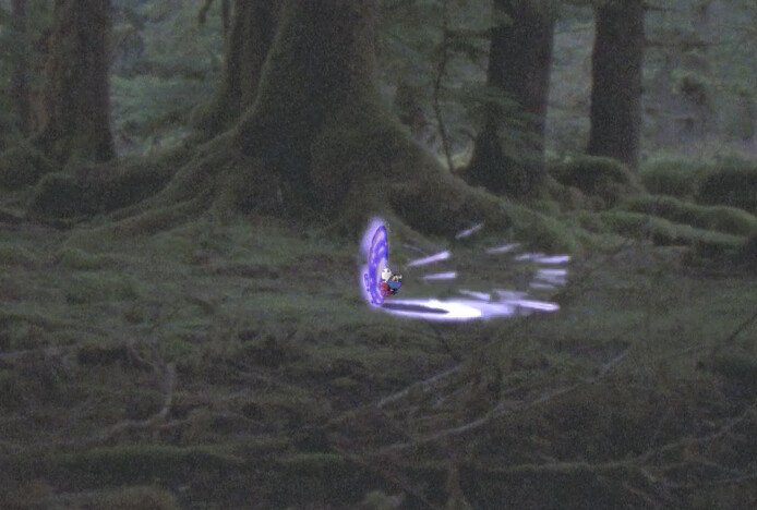 Magic portal, The Stand  