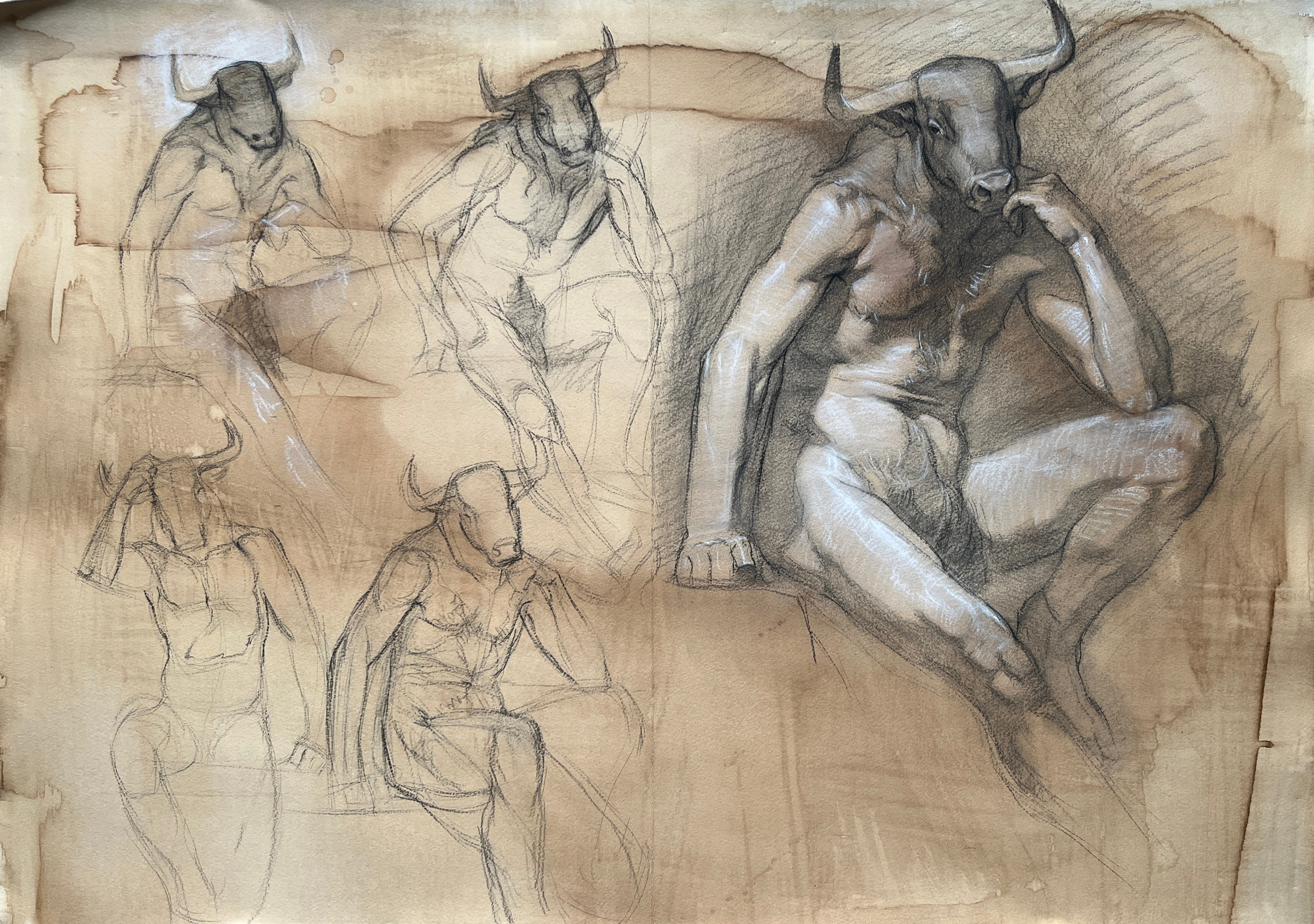 20x30 in. charocal and chalk on toned BFK paper