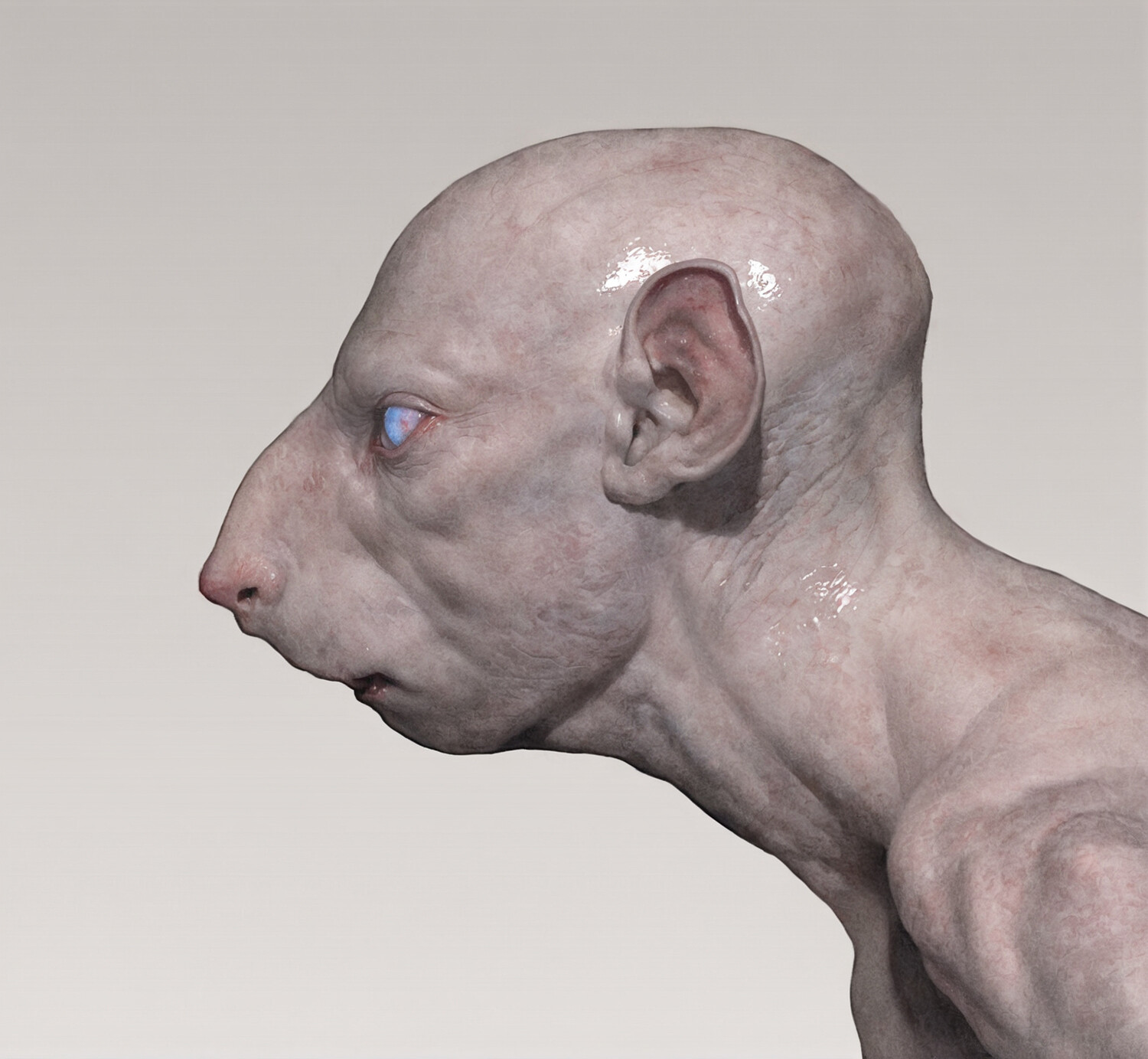 The Animal Kingdom ( Le règne animal), 2022, Concept work