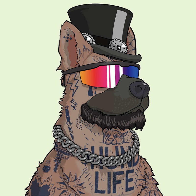 Hund Life
