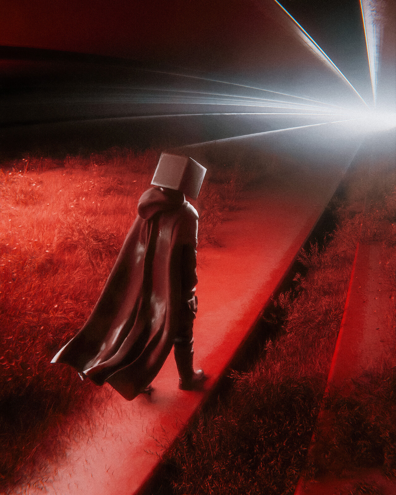 towards the light