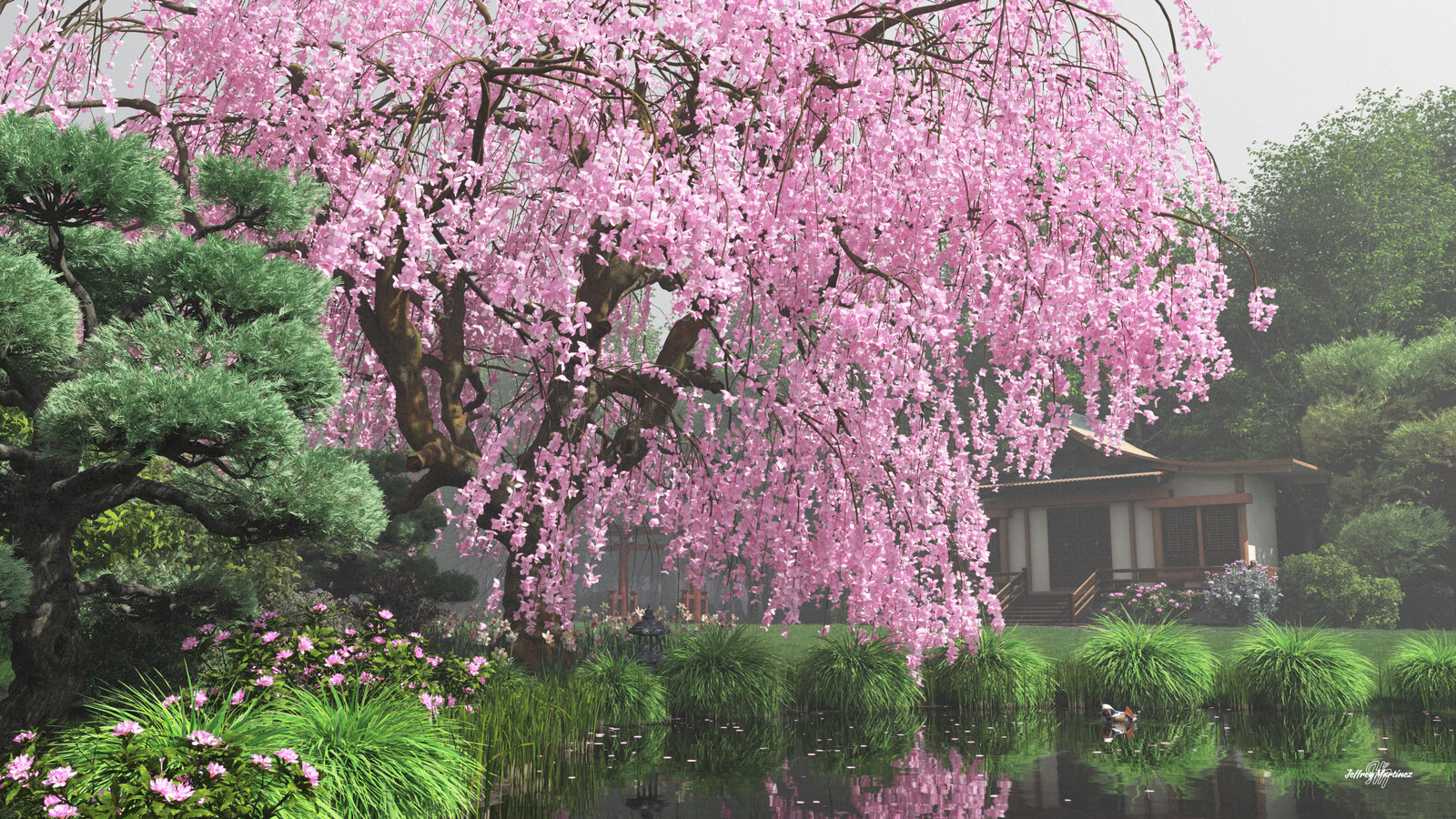 Shizukana Asa