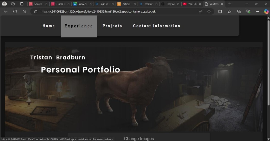 Home Page: Demonstrates a cycle of the main projects in the portfolio. Clicking the "Change Images" button to cycle as and when you want.