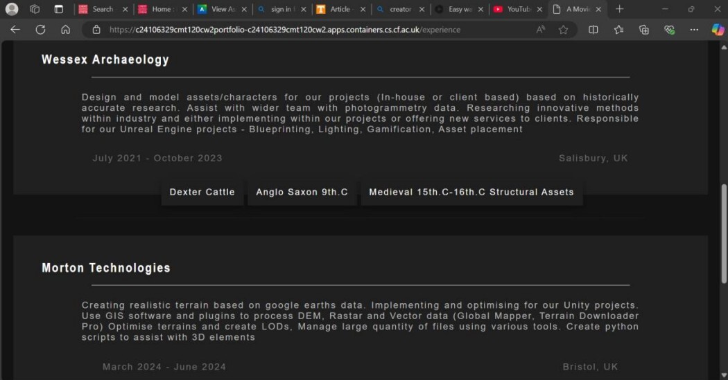 Experience Page: Dynamically displays experience information and links to associated projects created during that time-frame/company.
