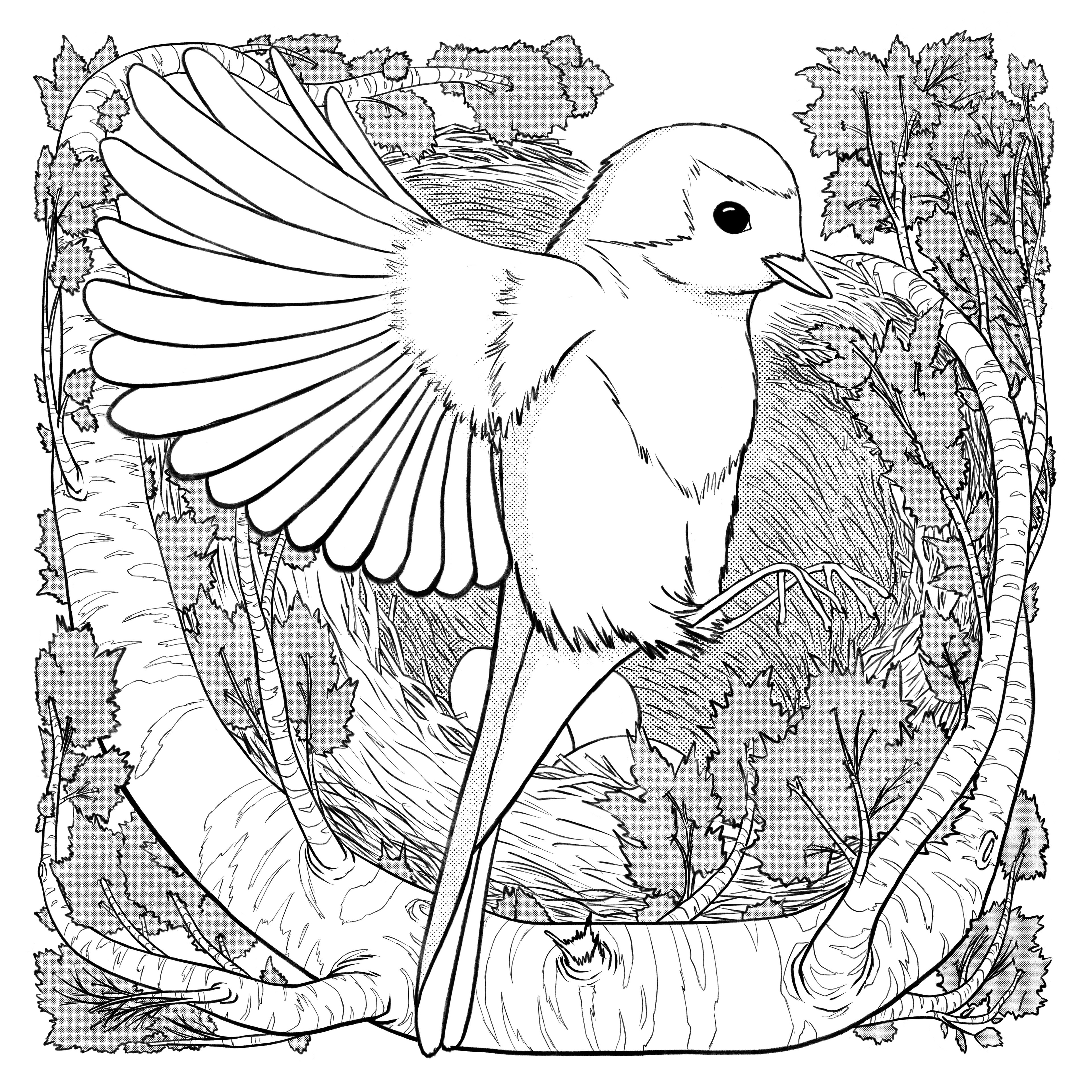lineart