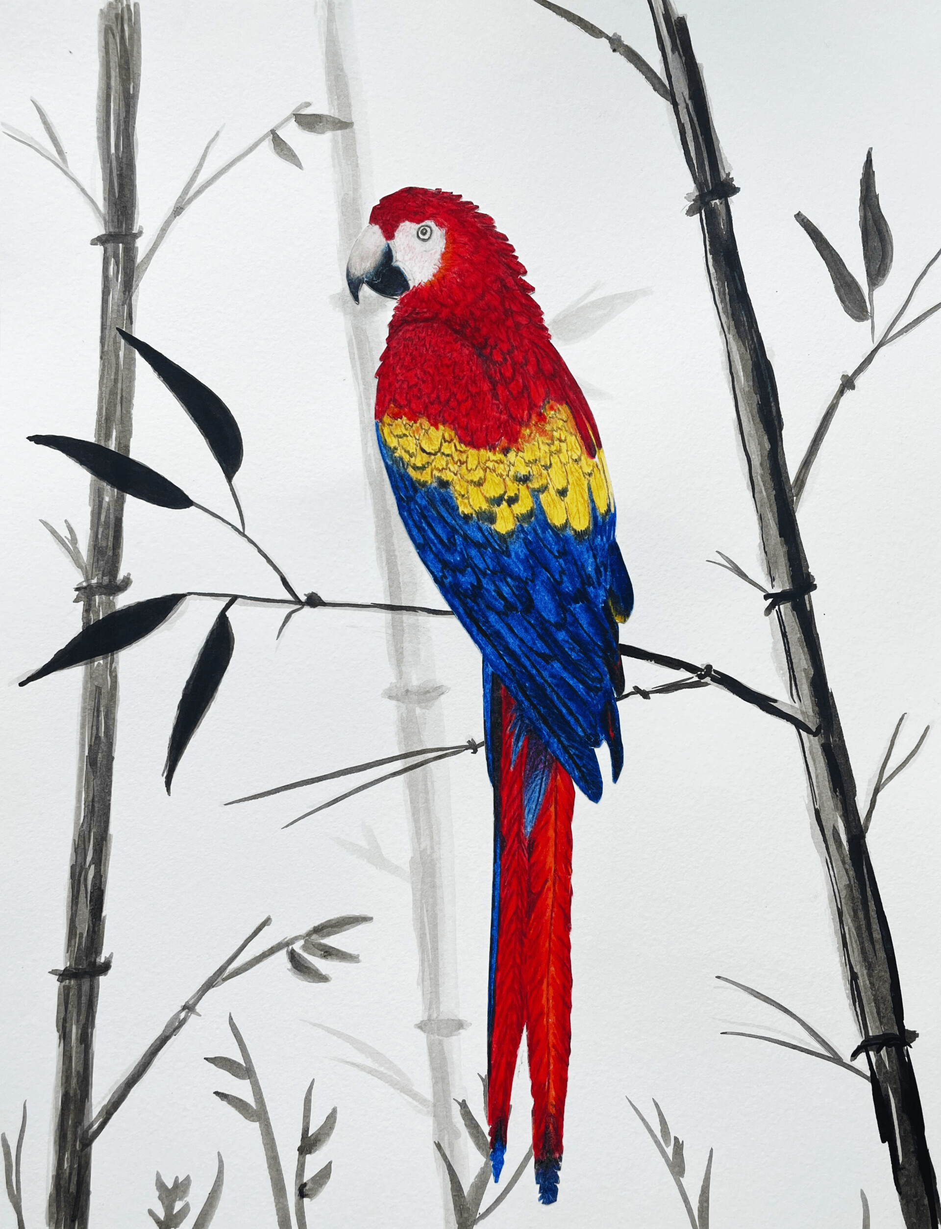 Student Mixed Media: Camille Scott