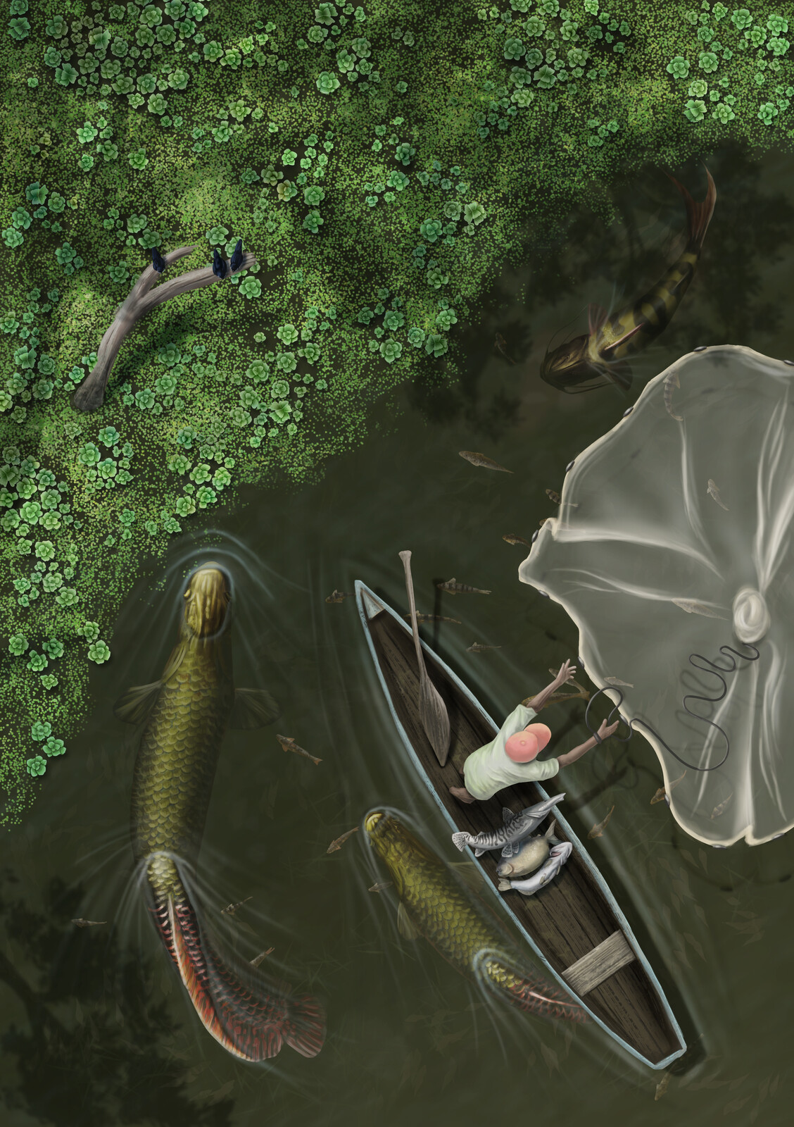 Traditional fishing in Amazonia