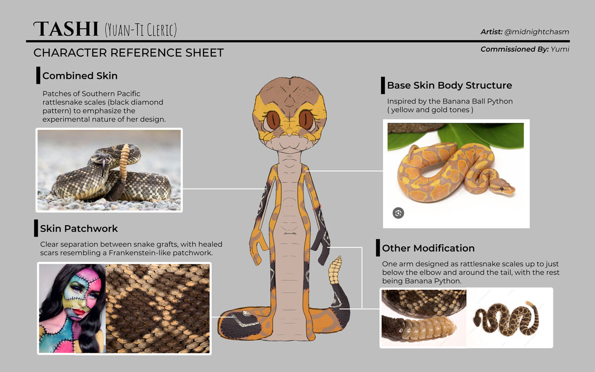 Skin and Body Structure