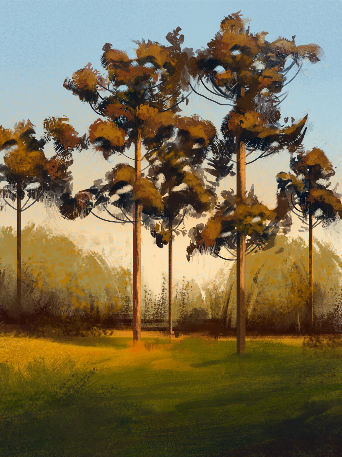 Tree Sketches