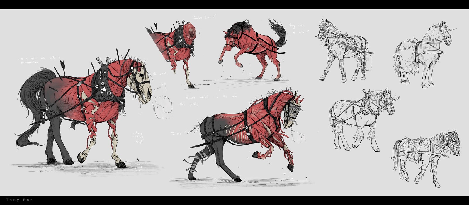 Horse Sketches
