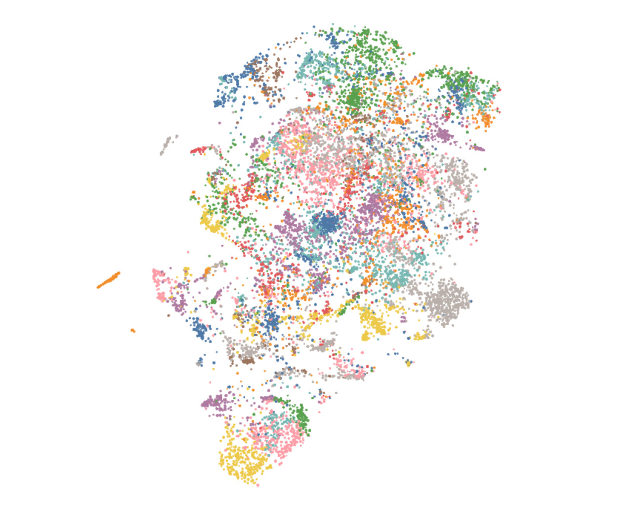 The "constellation" - each node is an image.
