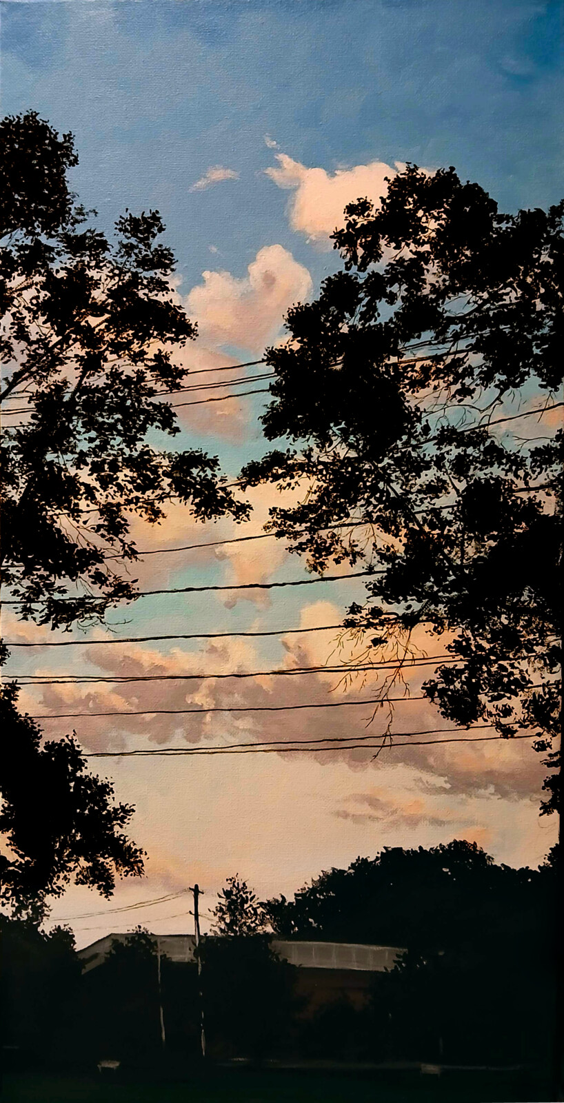Sky View