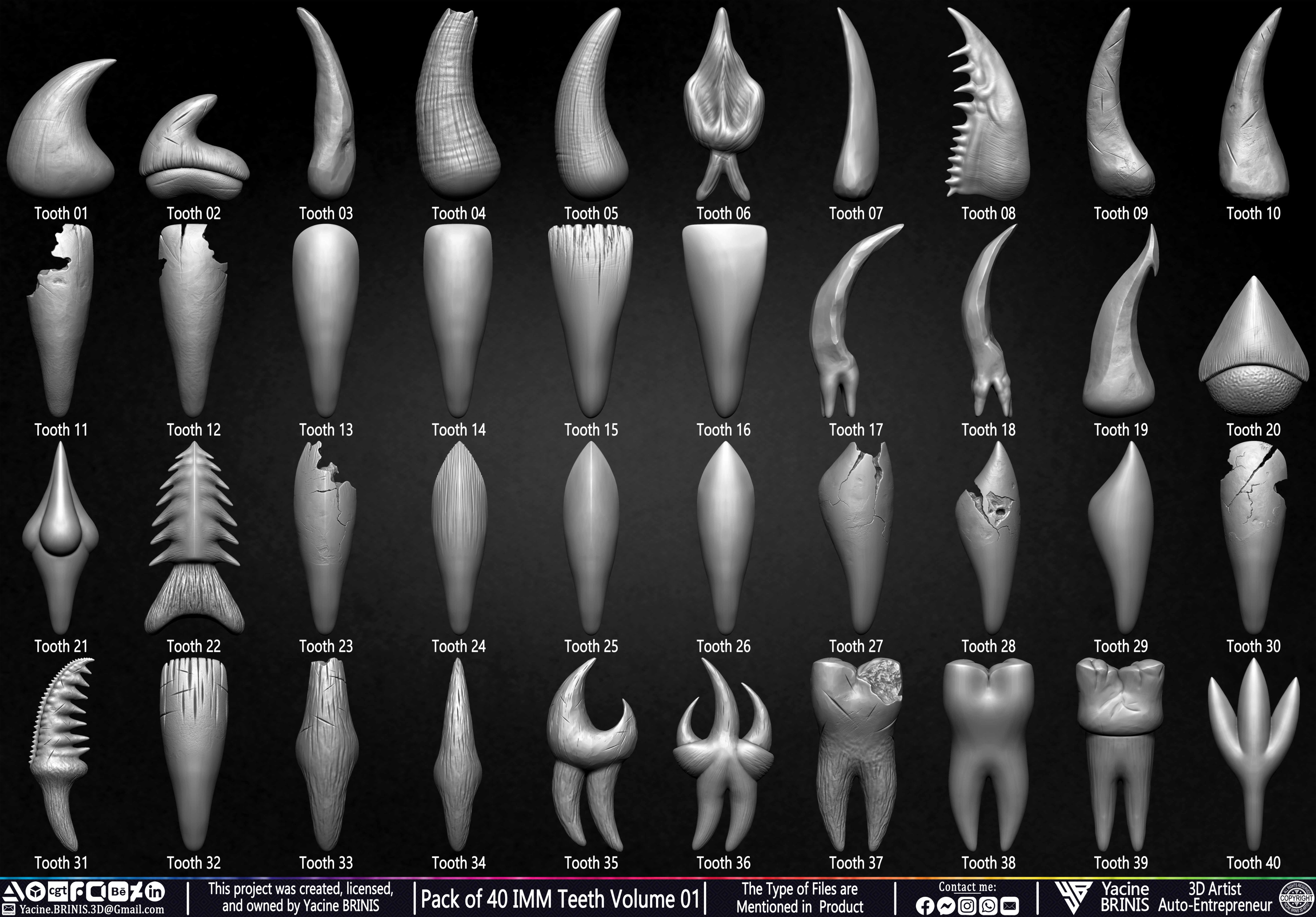 Pack of 40 IMM Teeth 3D Models for Humans Animals and Creatures Volume 01 Sculpted By Yacine BRINIS Set 002