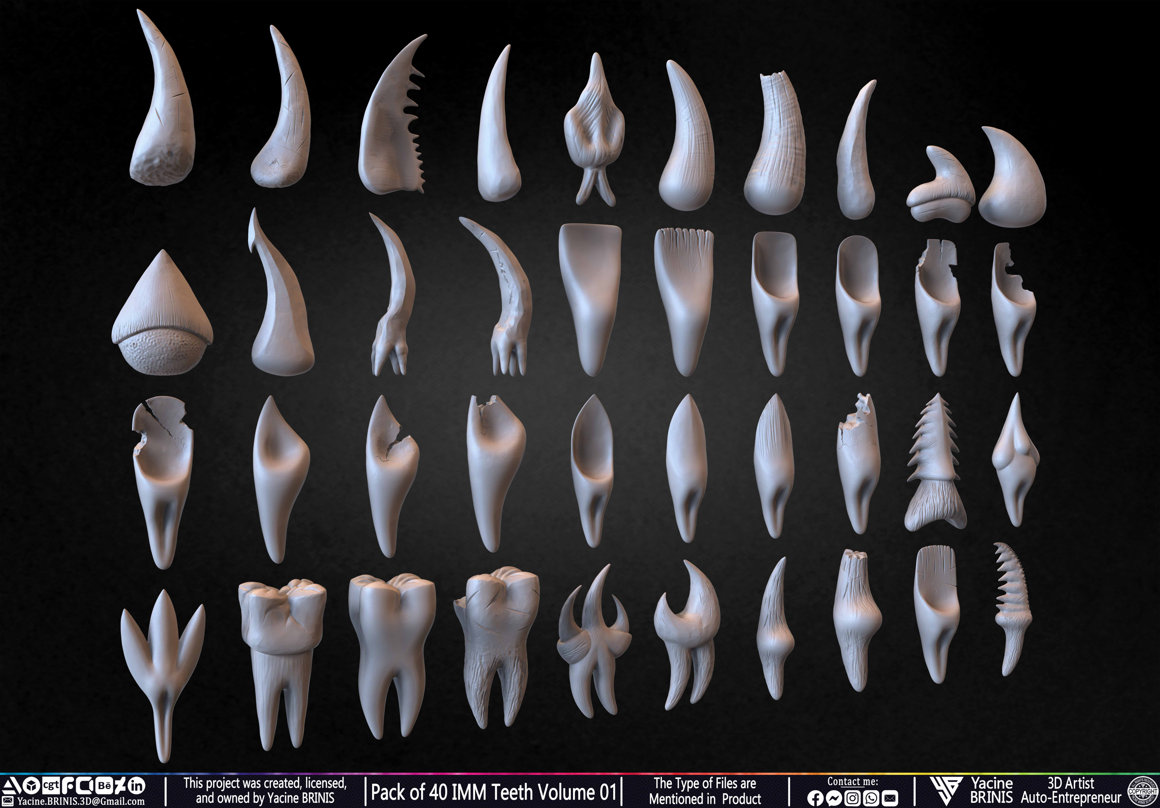 Pack of 40 IMM Teeth 3D Models for Humans Animals and Creatures Volume 01 Sculpted By Yacine BRINIS Set 007