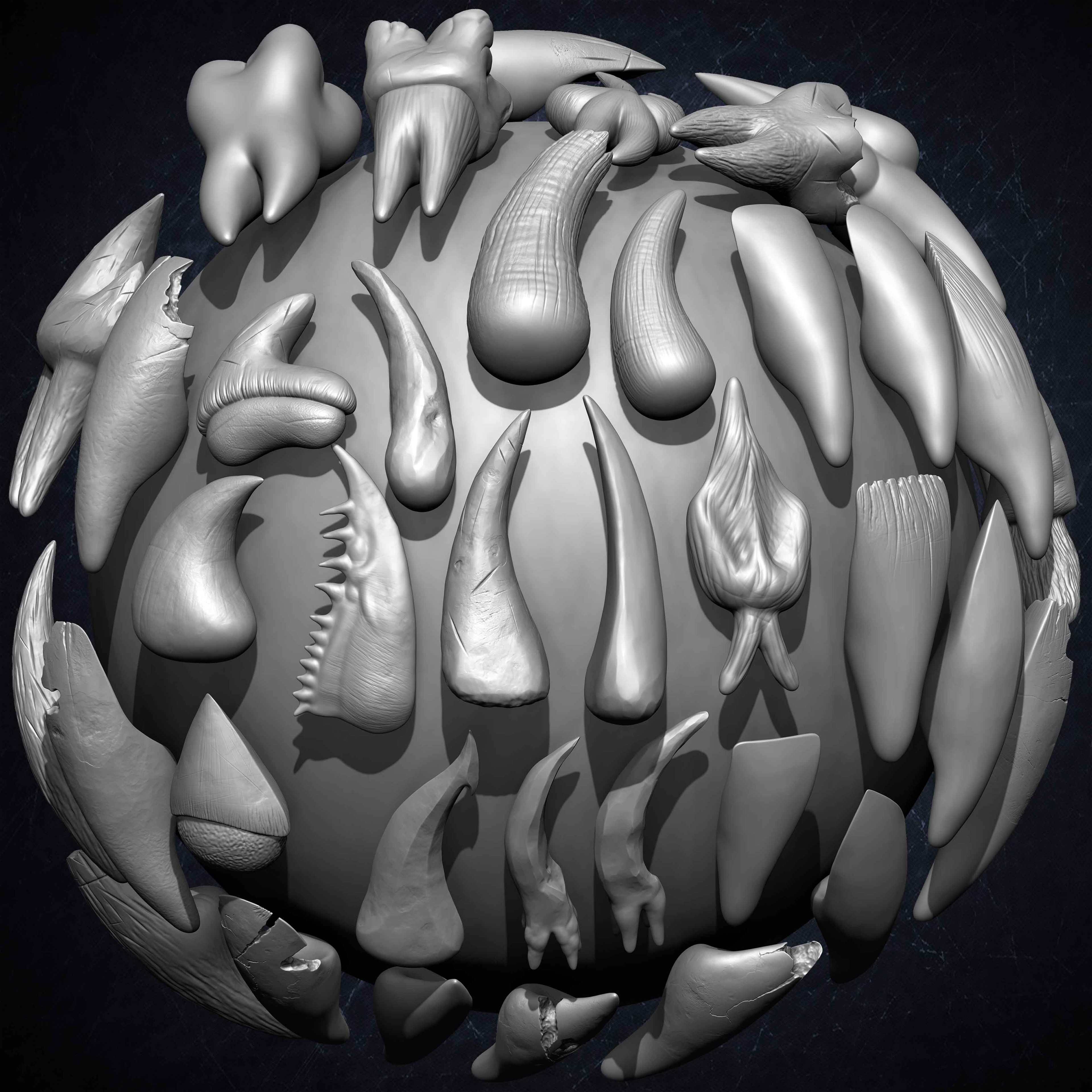 Pack of 40 IMM Teeth 3D Models for Humans Animals and Creatures Volume 01 Sculpted By Yacine BRINIS Set 010