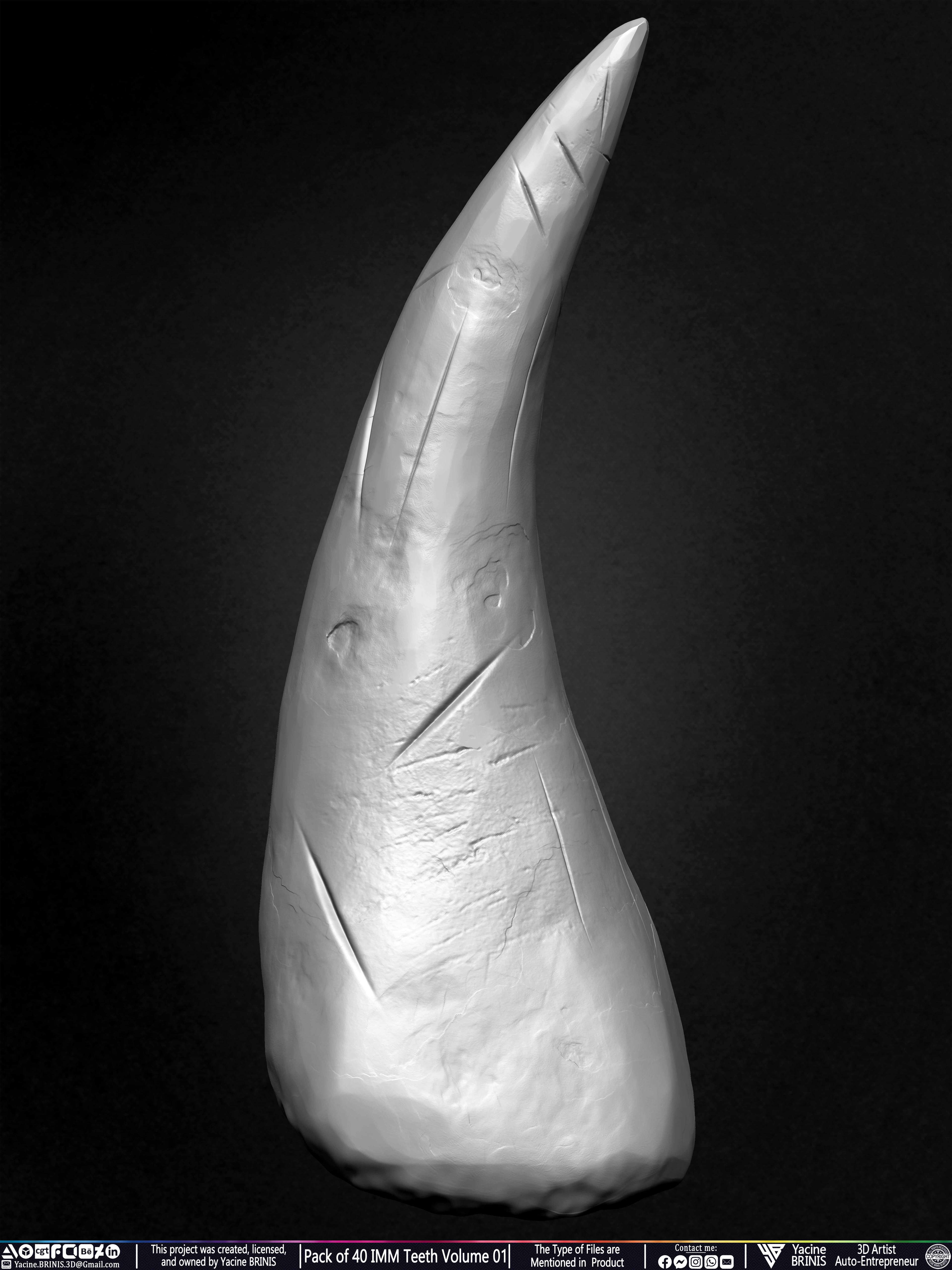 Pack of 40 IMM Teeth 3D Models for Humans Animals and Creatures Volume 01 Sculpted By Yacine BRINIS Set 012