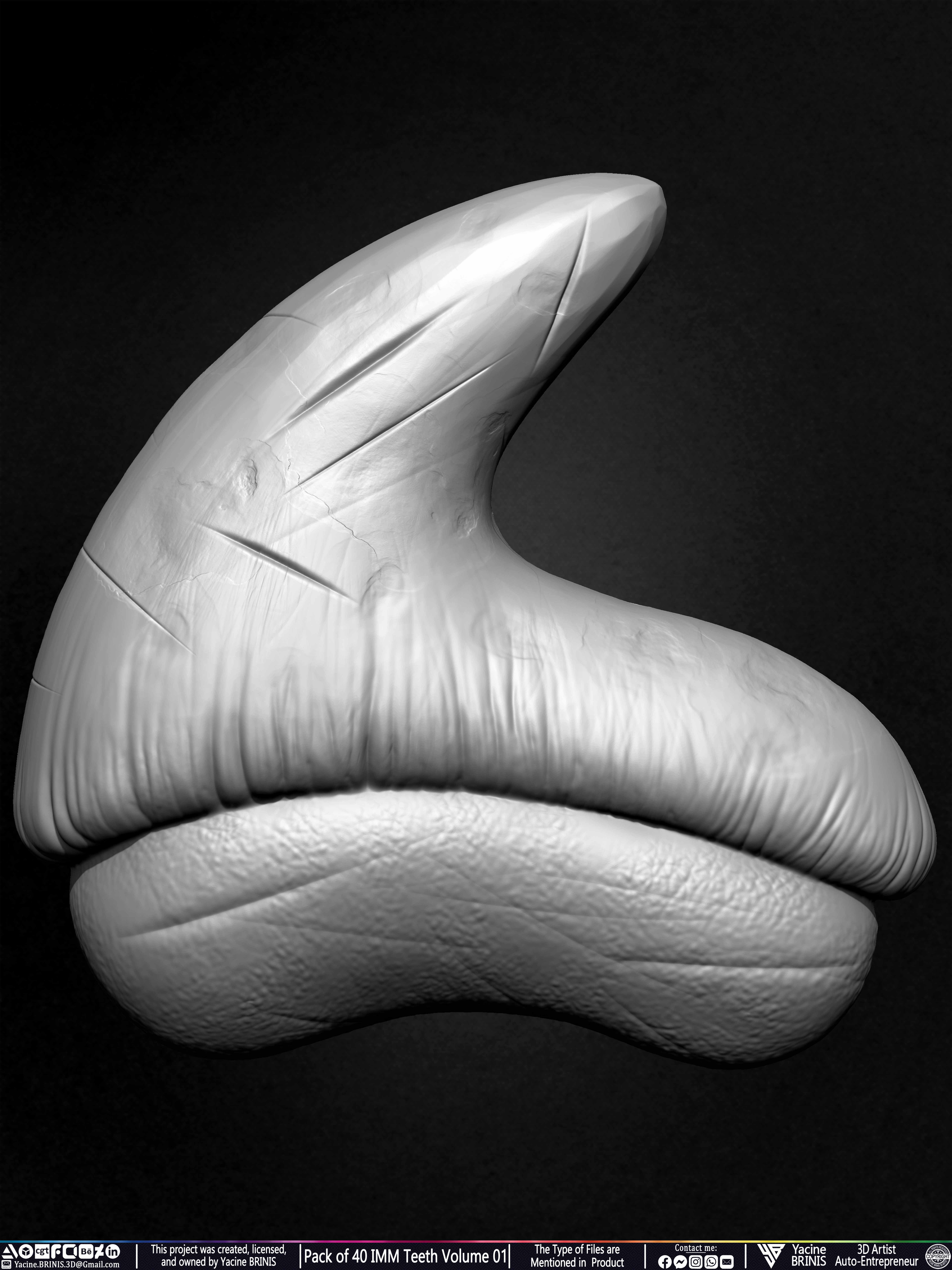 Pack of 40 IMM Teeth 3D Models for Humans Animals and Creatures Volume 01 Sculpted By Yacine BRINIS Set 020