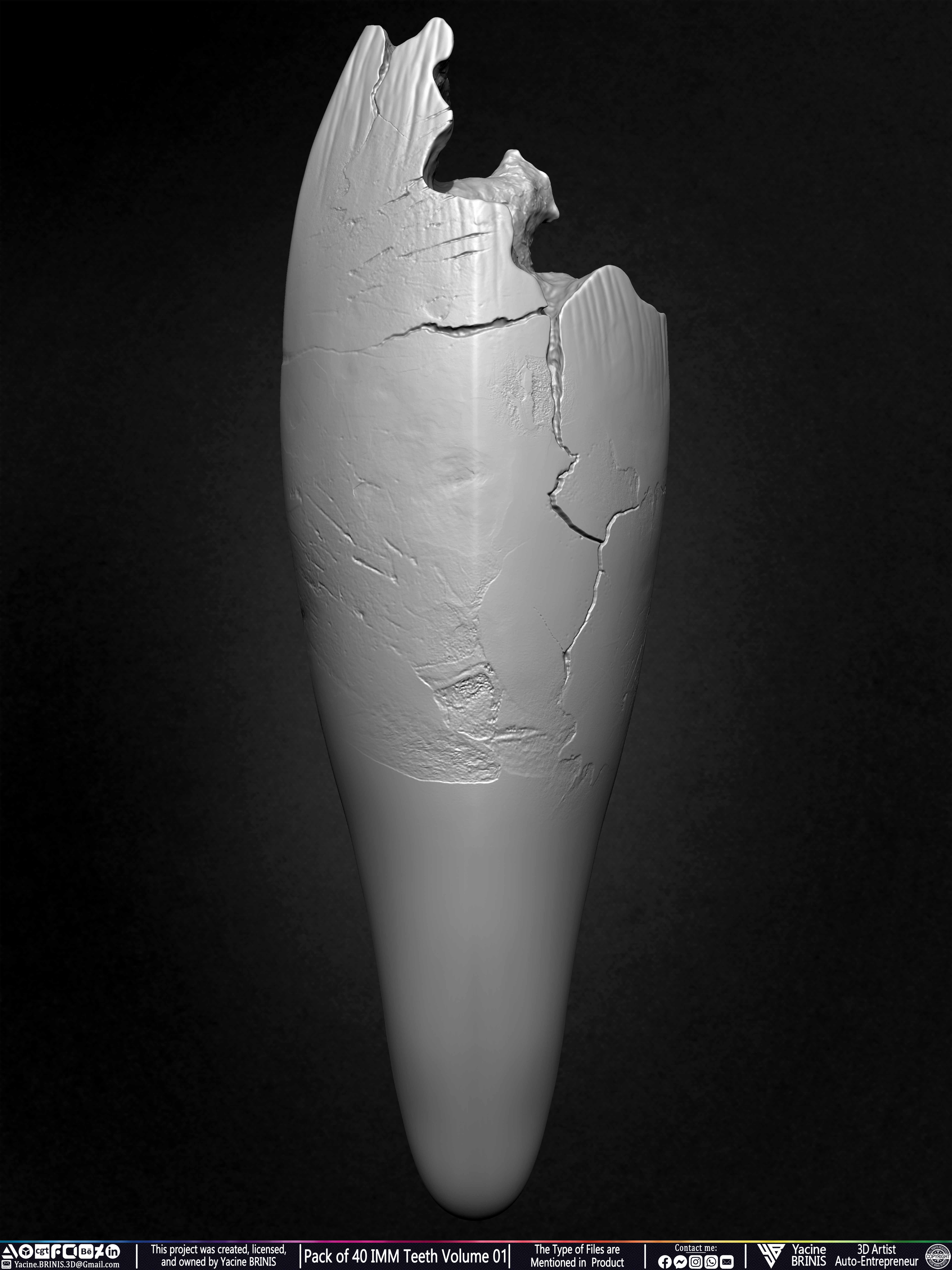 Pack of 40 IMM Teeth 3D Models for Humans Animals and Creatures Volume 01 Sculpted By Yacine BRINIS Set 038