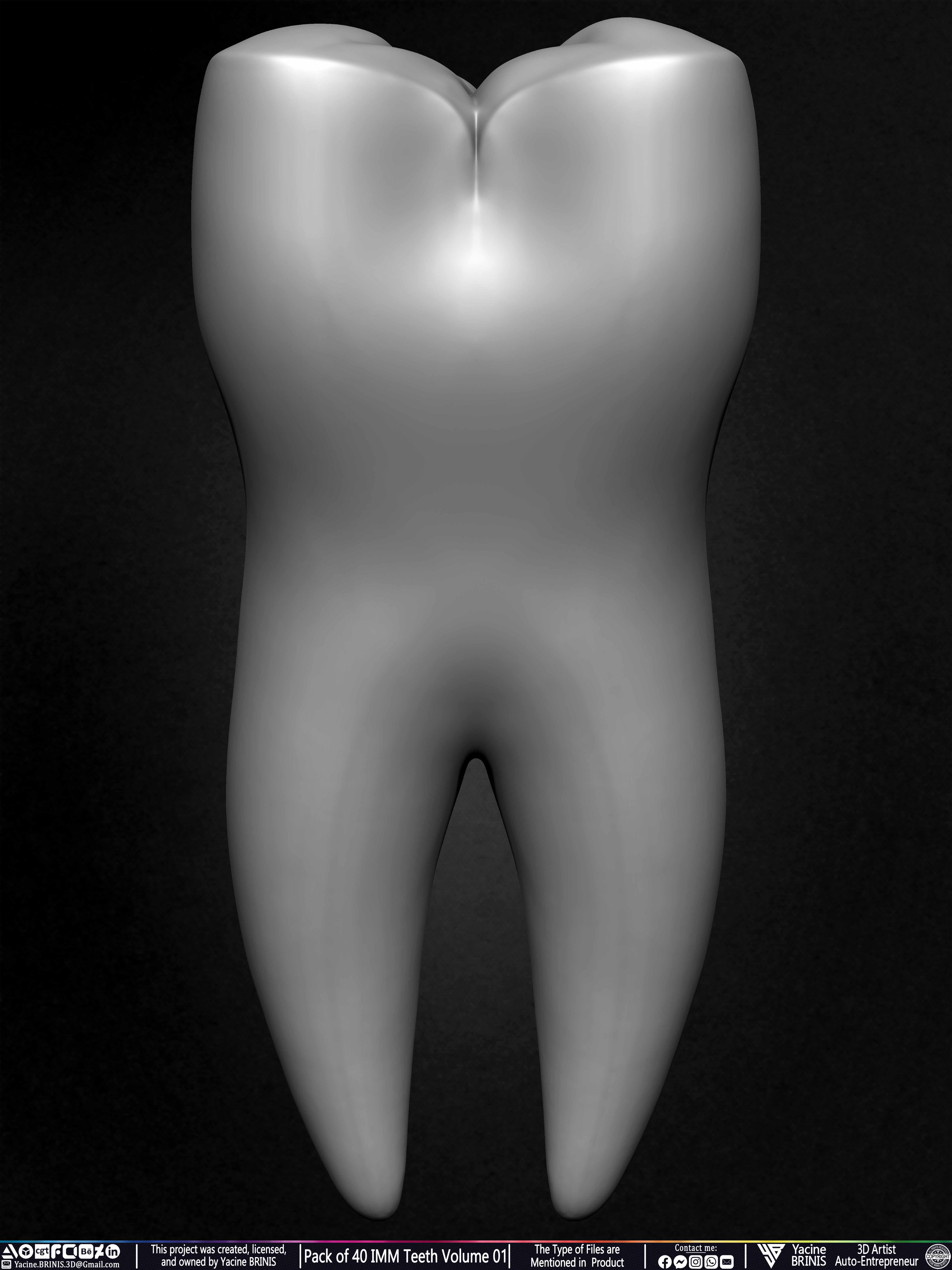 Pack of 40 IMM Teeth 3D Models for Humans Animals and Creatures Volume 01 Sculpted By Yacine BRINIS Set 042
