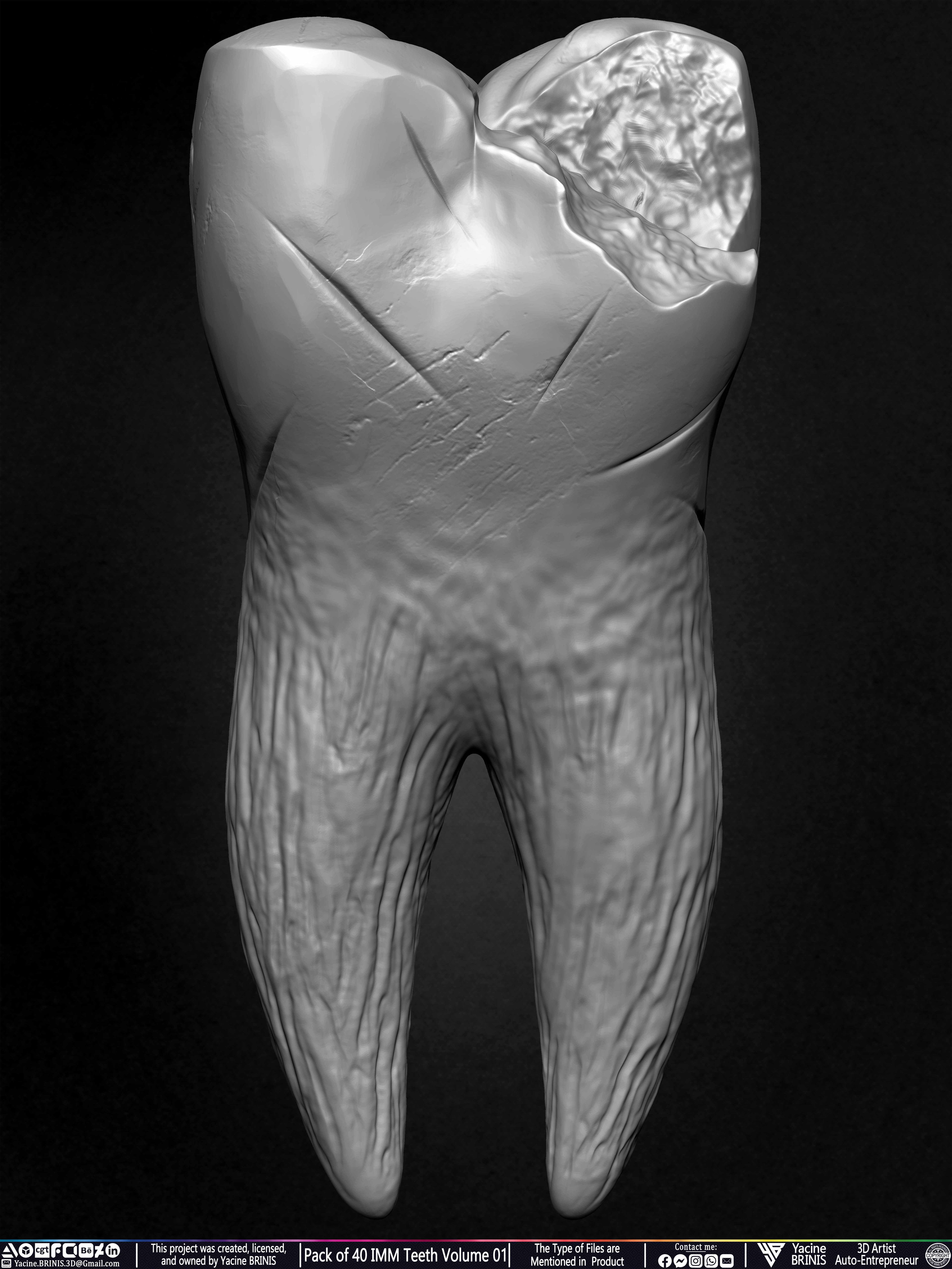 Pack of 40 IMM Teeth 3D Models for Humans Animals and Creatures Volume 01 Sculpted By Yacine BRINIS Set 043