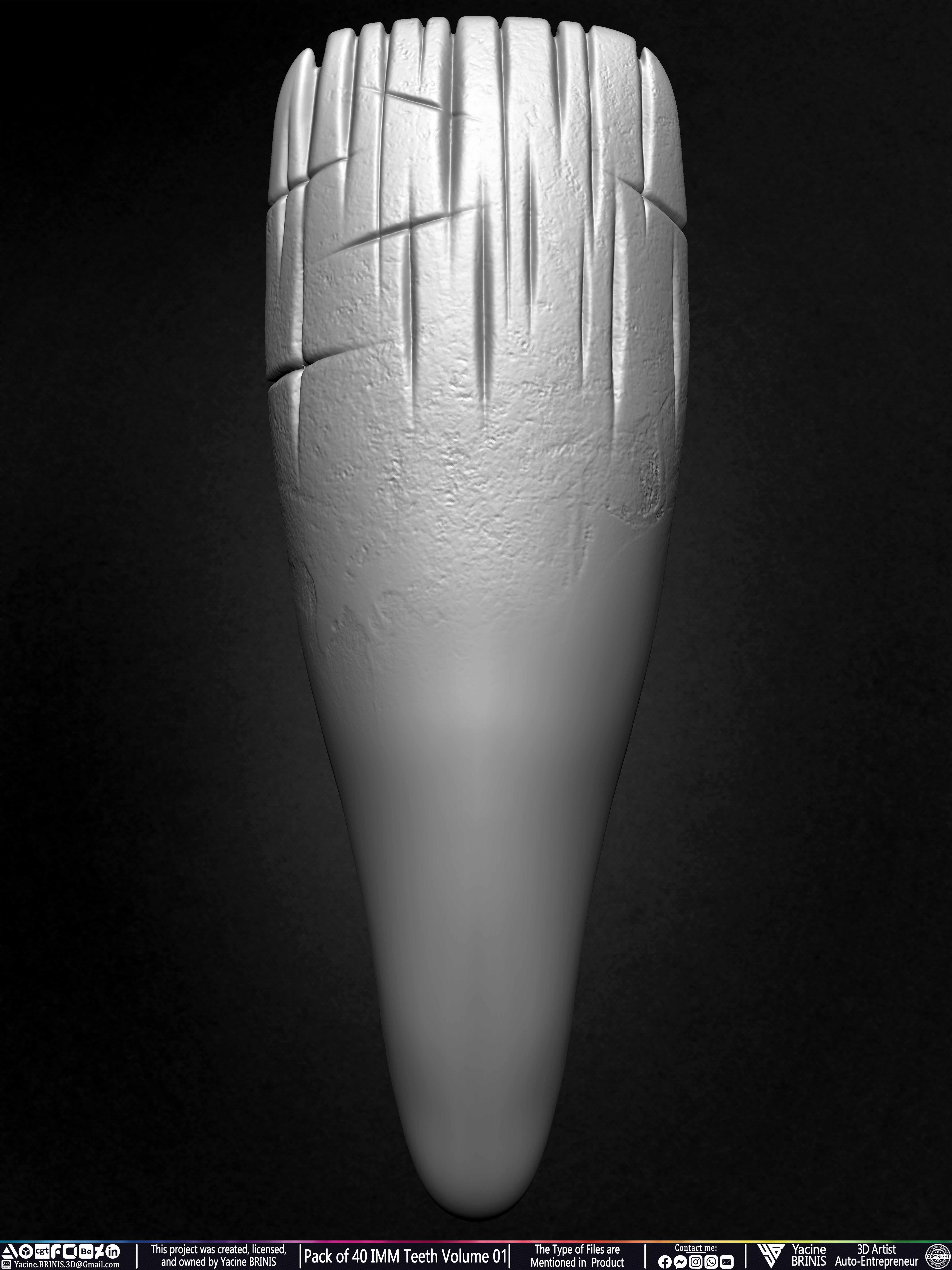 Pack of 40 IMM Teeth 3D Models for Humans Animals and Creatures Volume 01 Sculpted By Yacine BRINIS Set 048