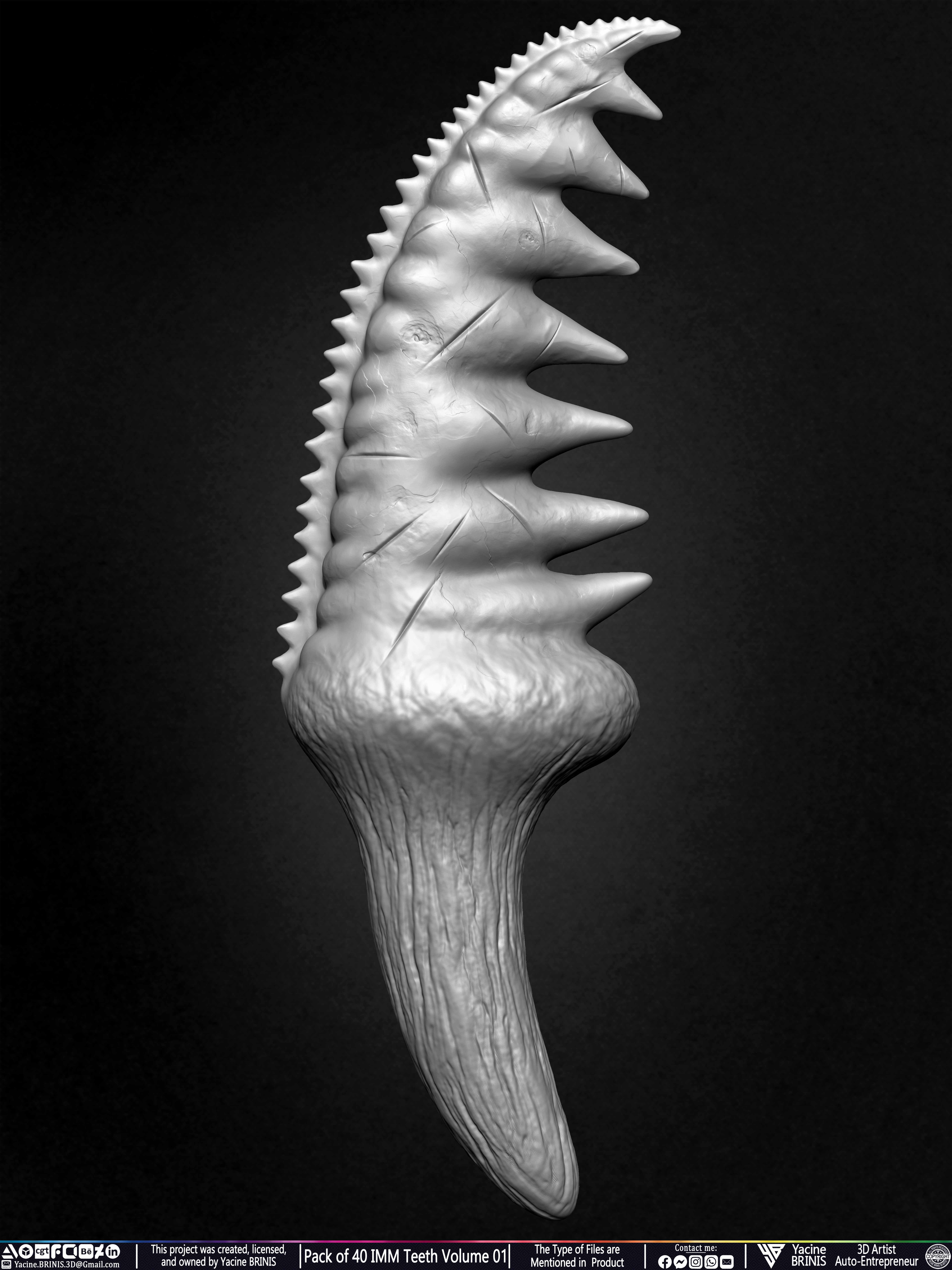 Pack of 40 IMM Teeth 3D Models for Humans Animals and Creatures Volume 01 Sculpted By Yacine BRINIS Set 049