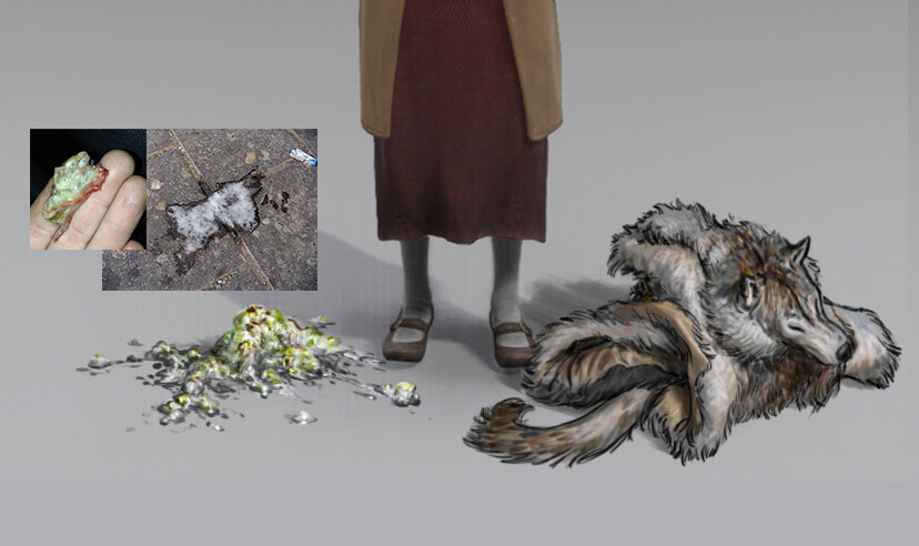 Updated wolf pelt and troll bogie concepts