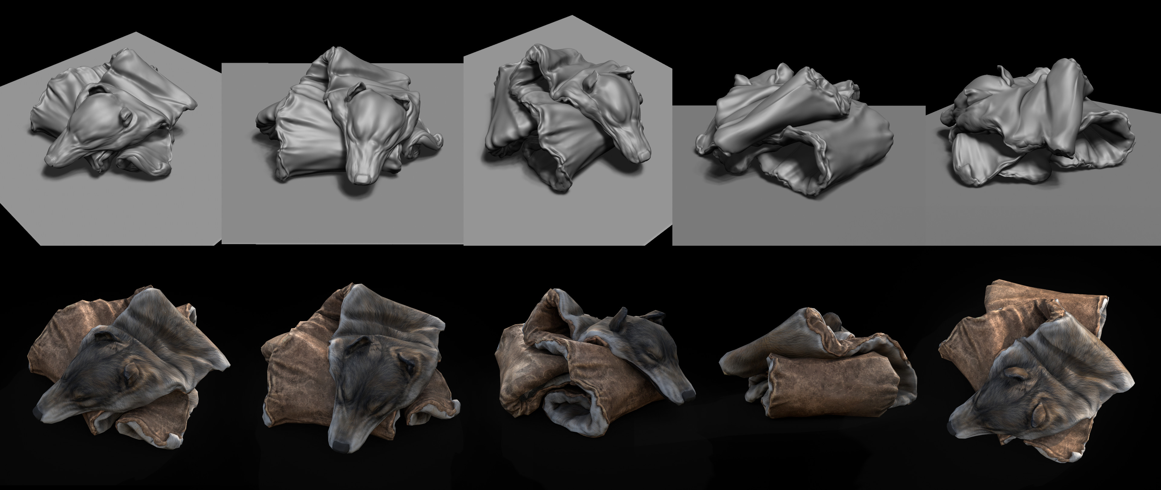 Wolf Pelt Sculpt, low poly, and textures