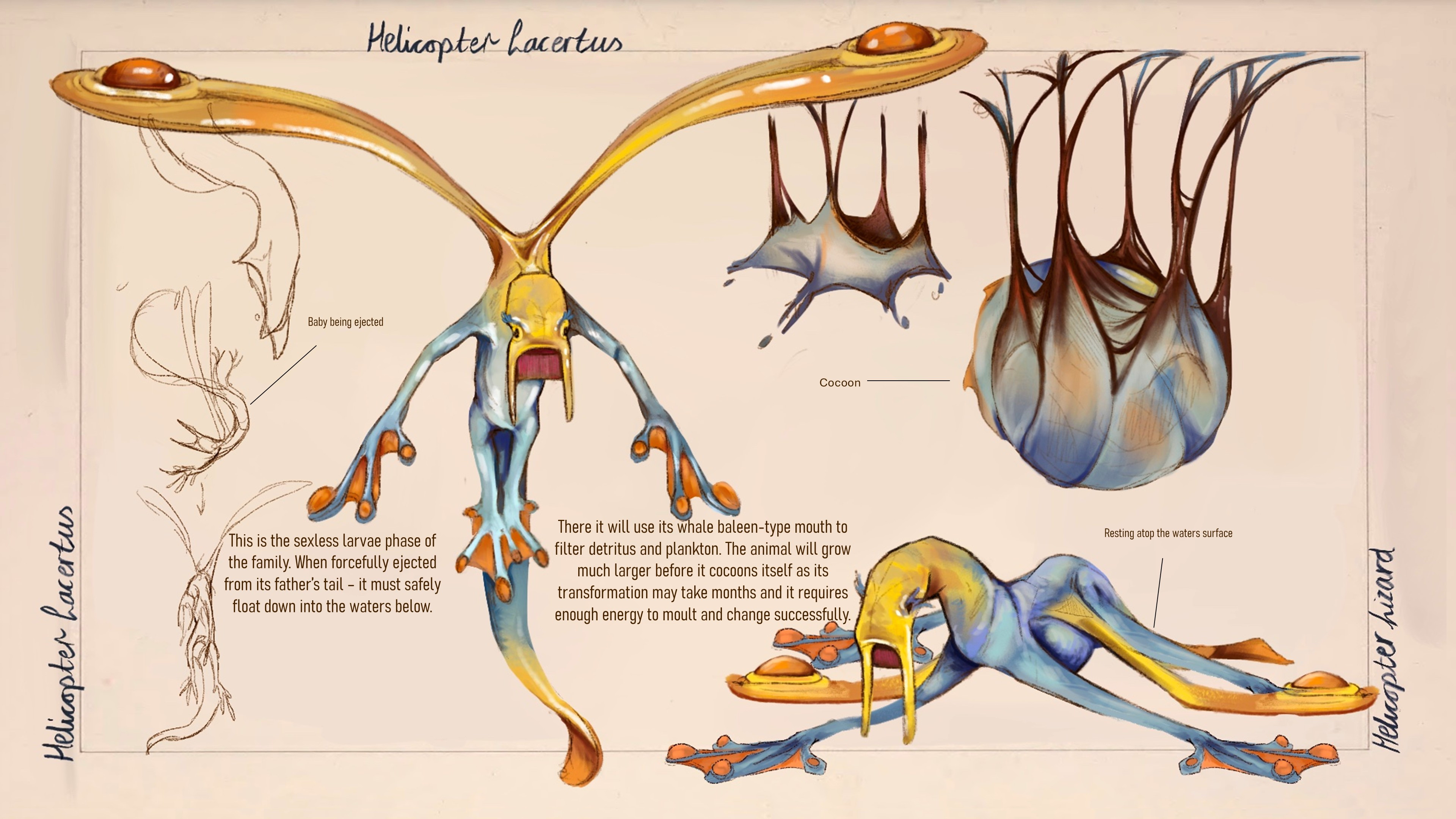 Helicopter Lacertus