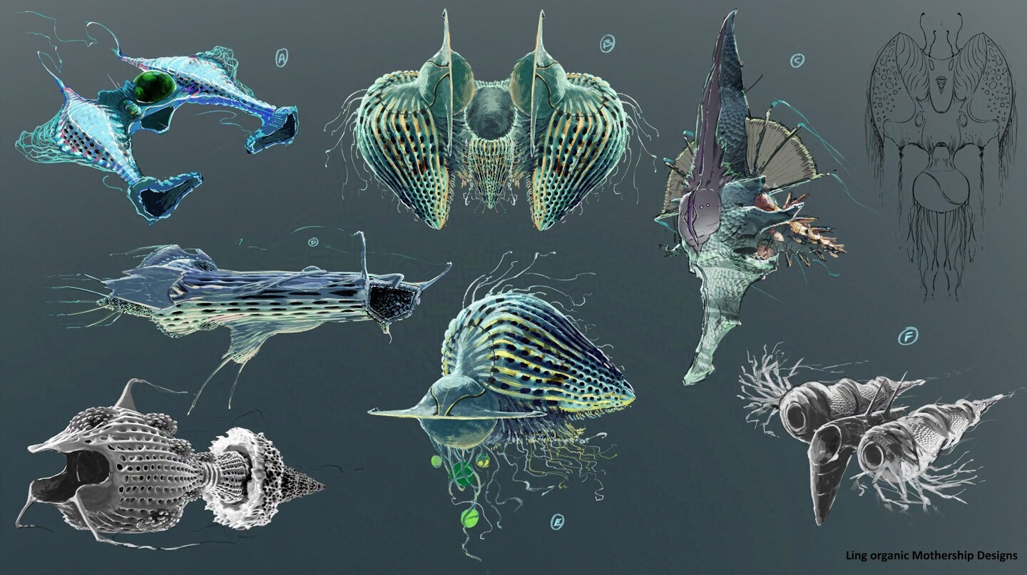 Organic Ship Variations