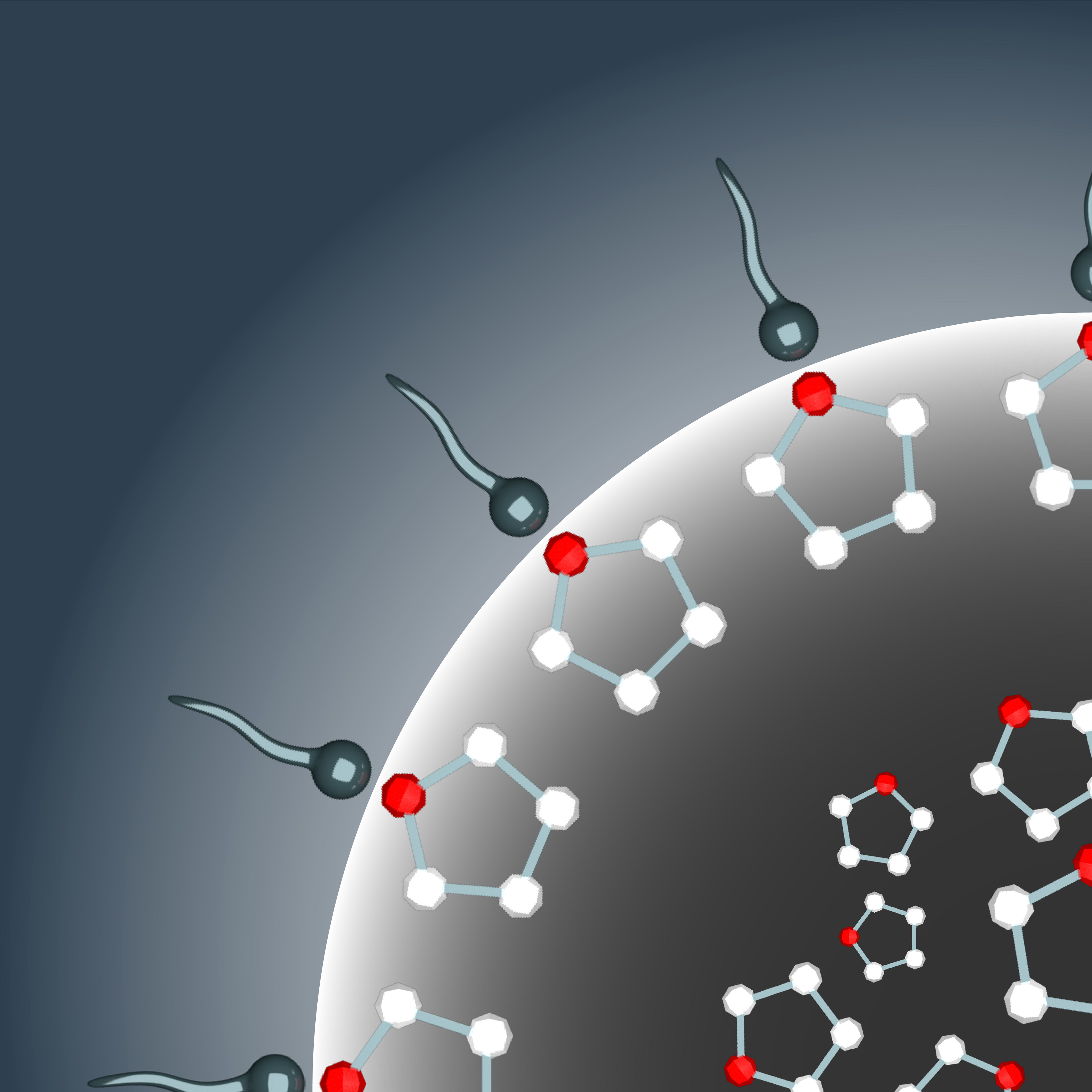 Reverse Micelle Zoom