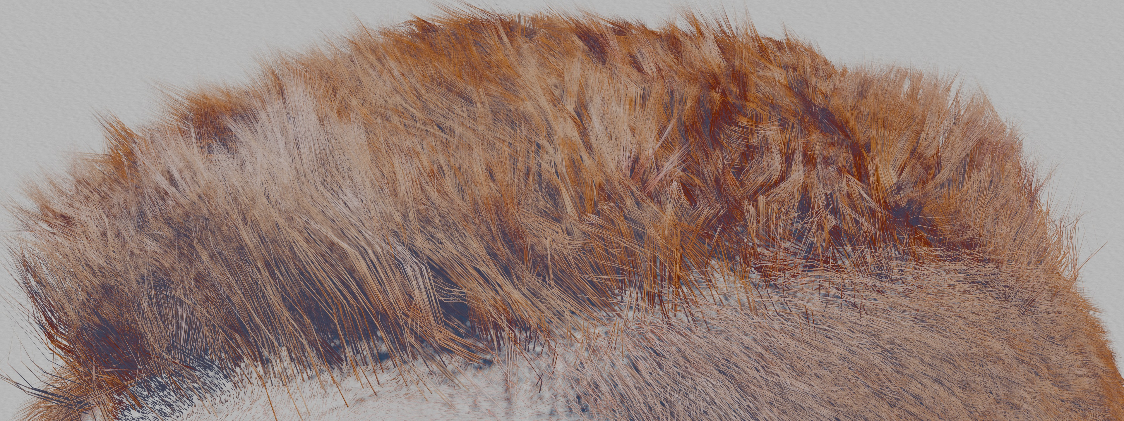 Hair Detail Shot