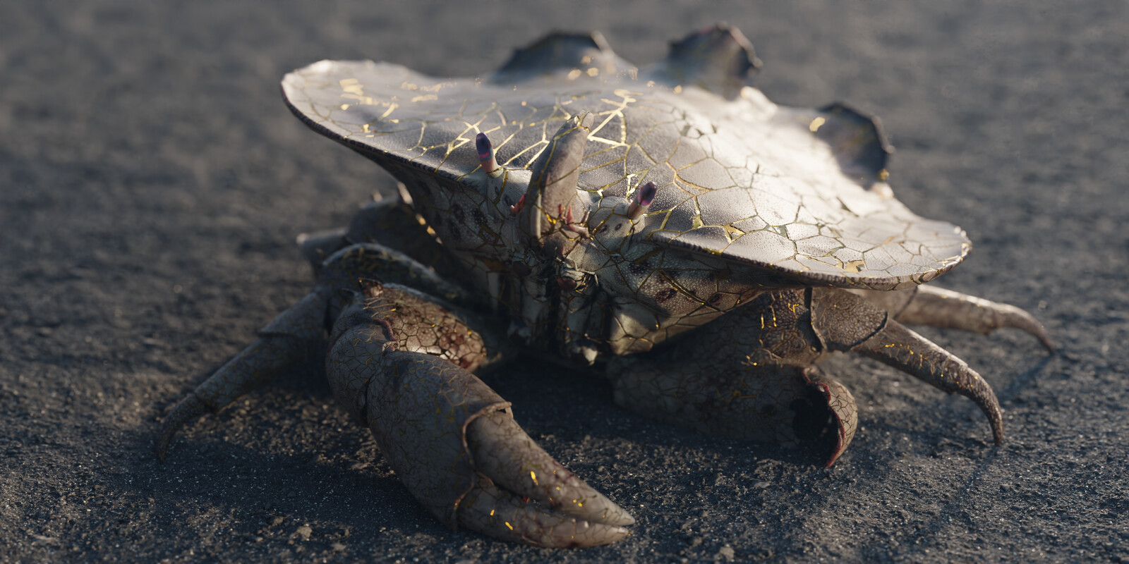 Crab