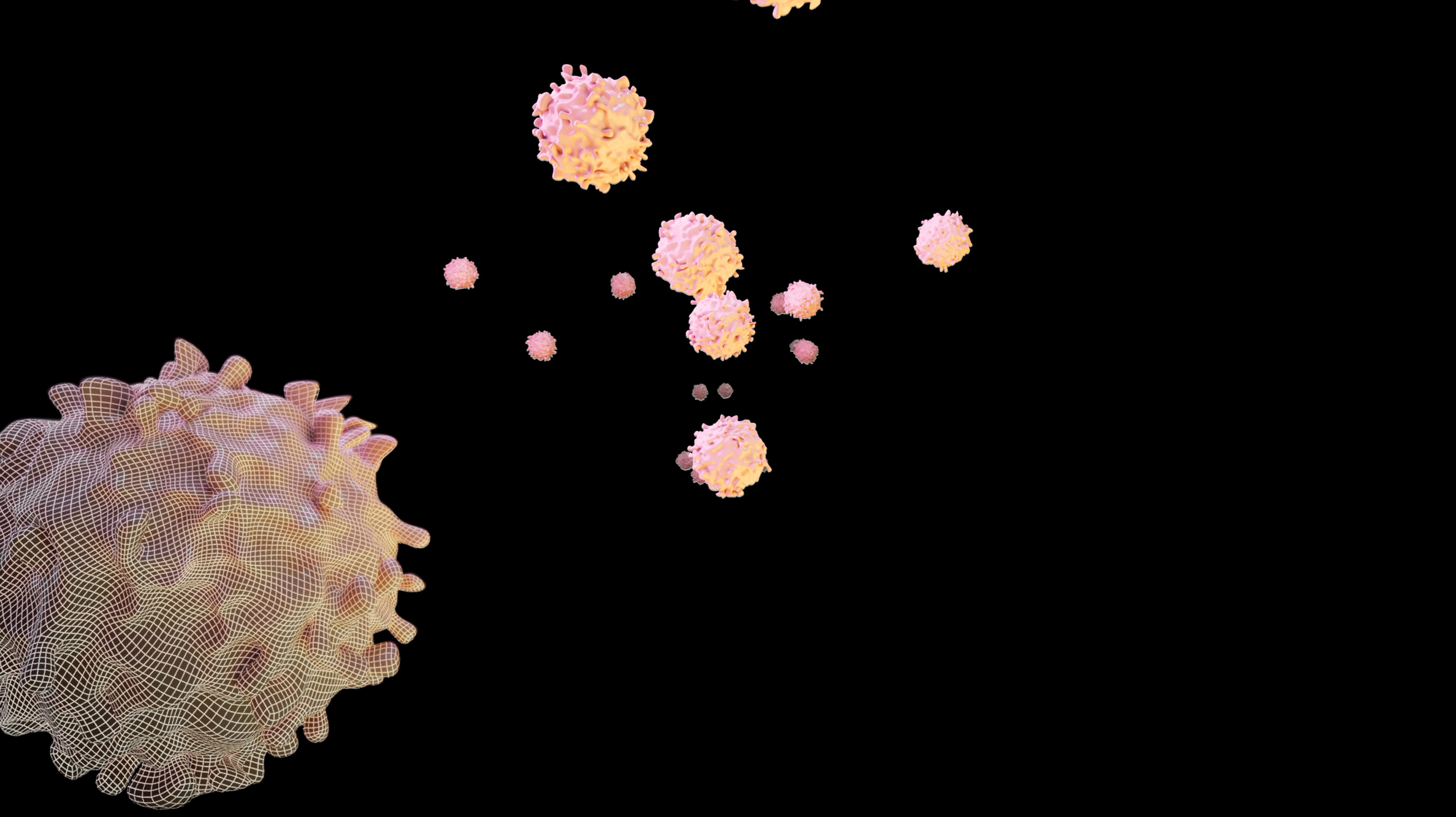 White Blood Cells