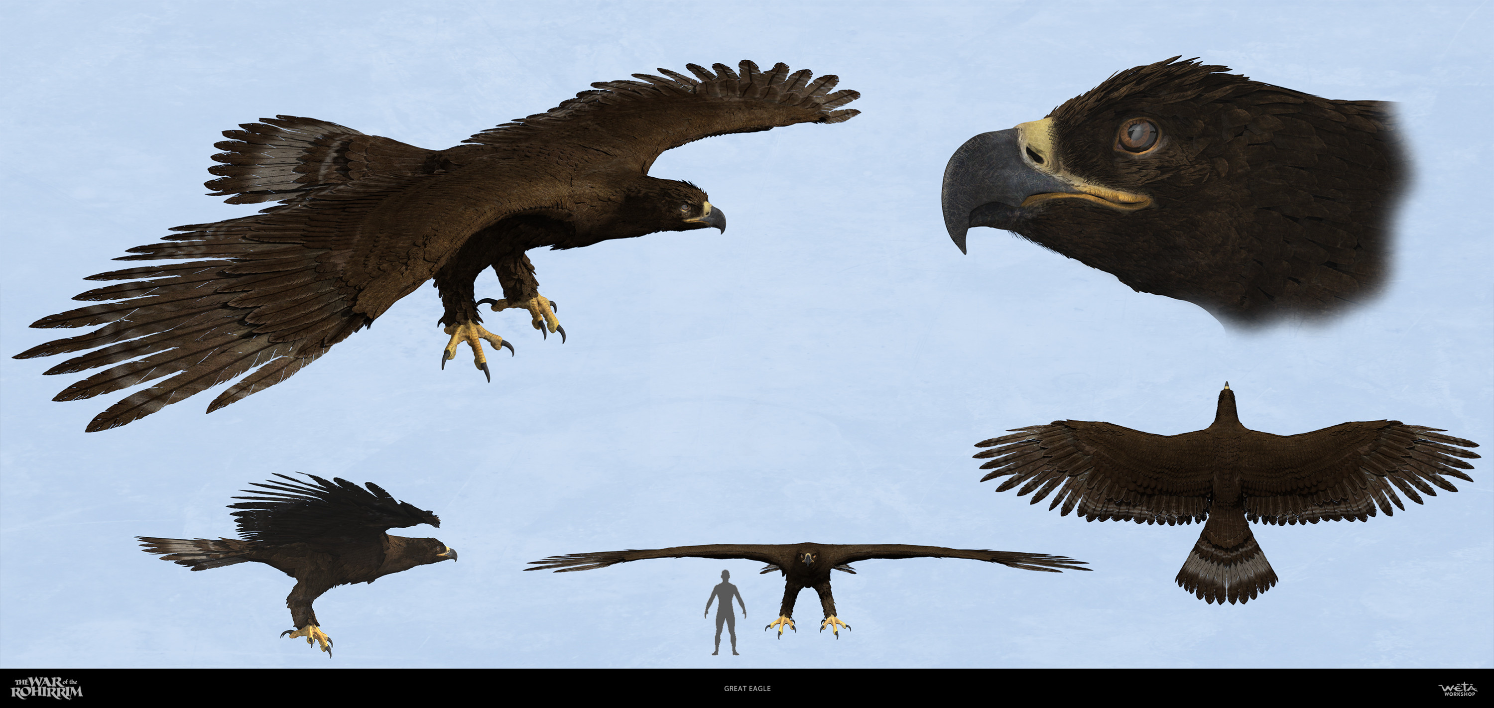 Great Eagle