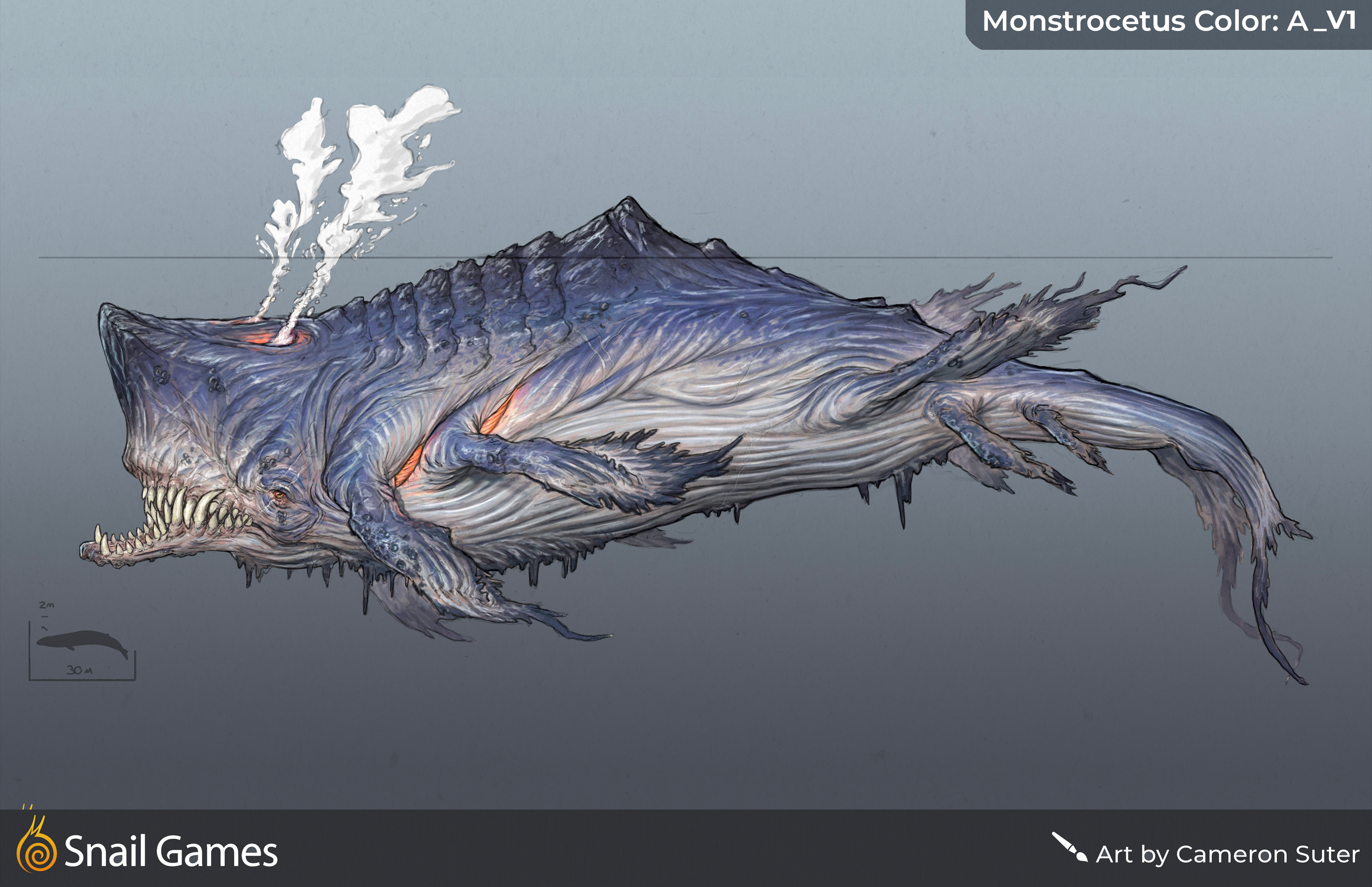 Fin Variation