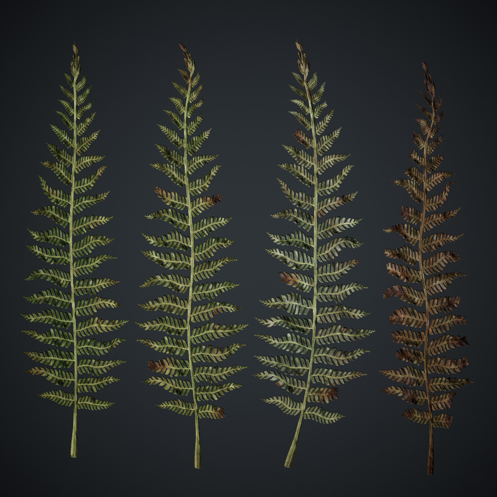 Fern Atlas