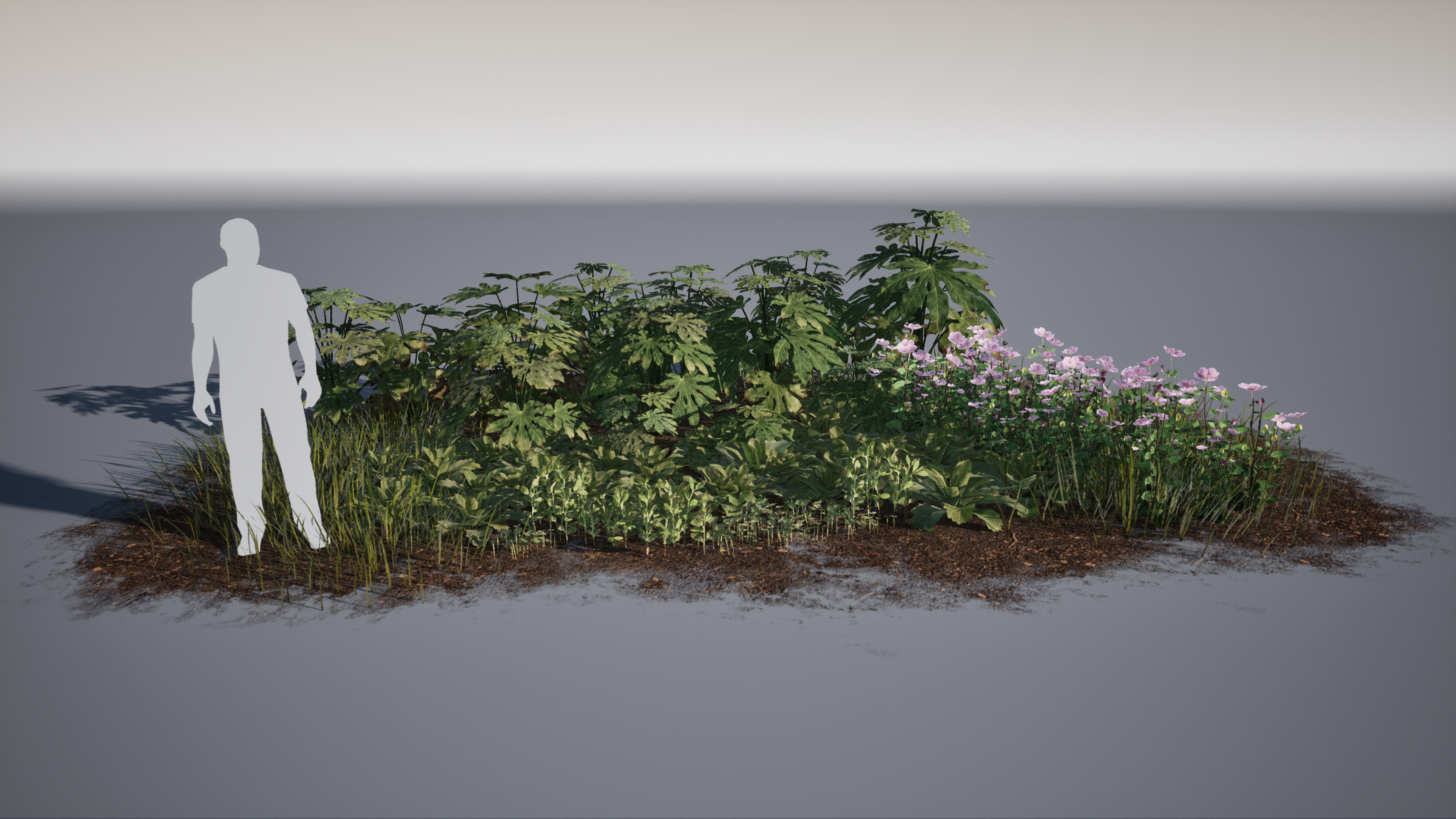 Japanese low vegetation