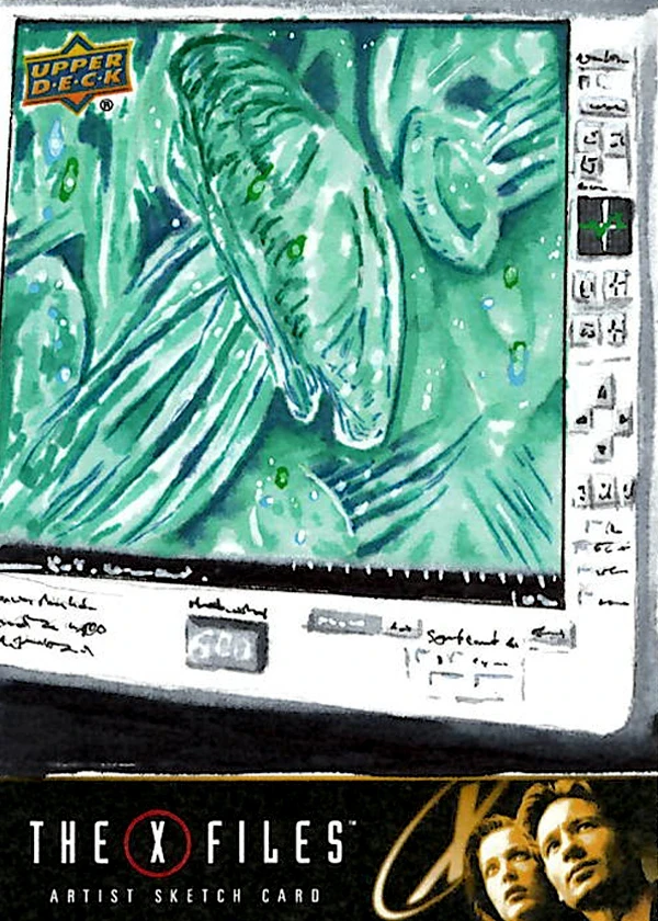 "Medusa"