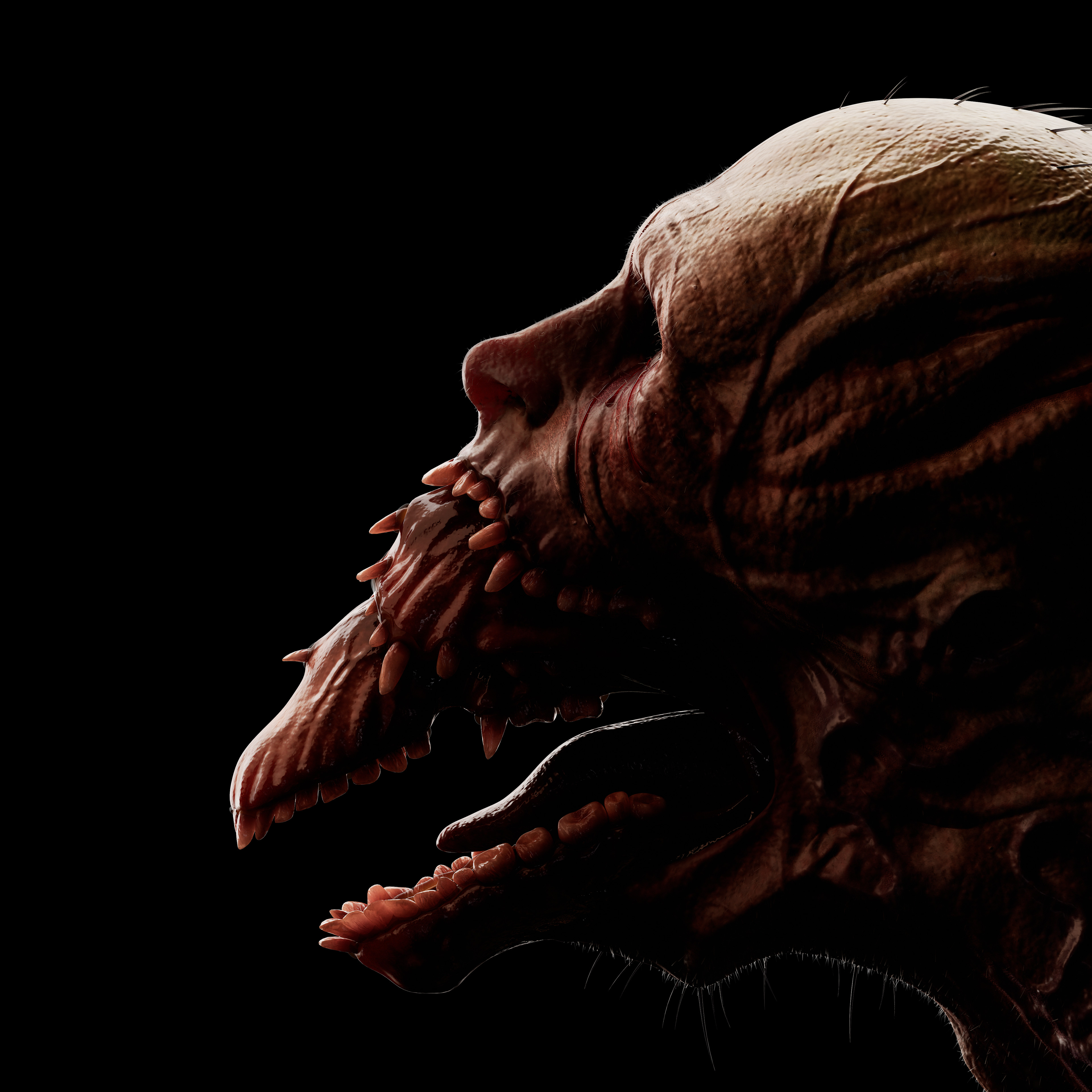 Head close up