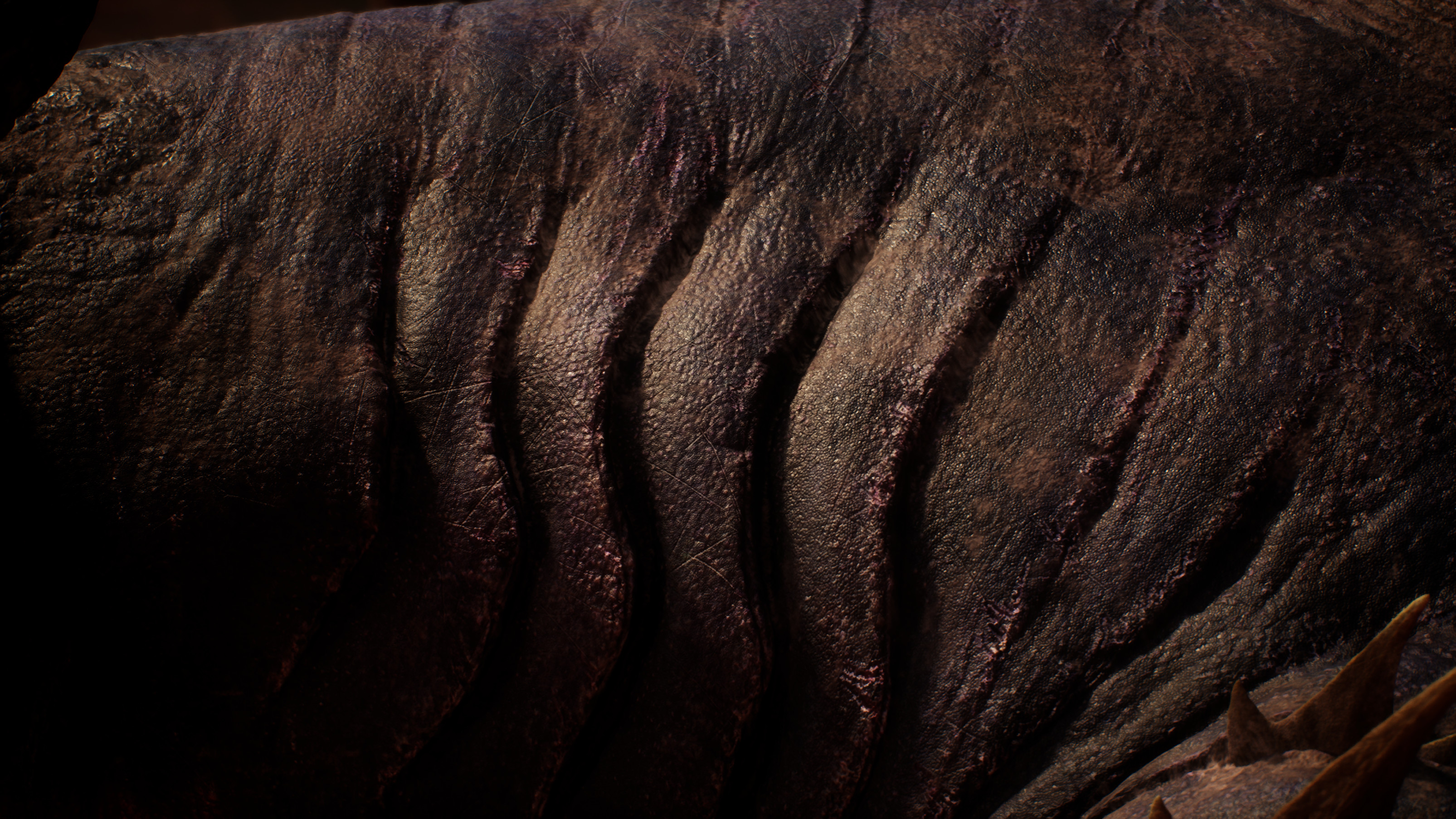 Skin Closeup