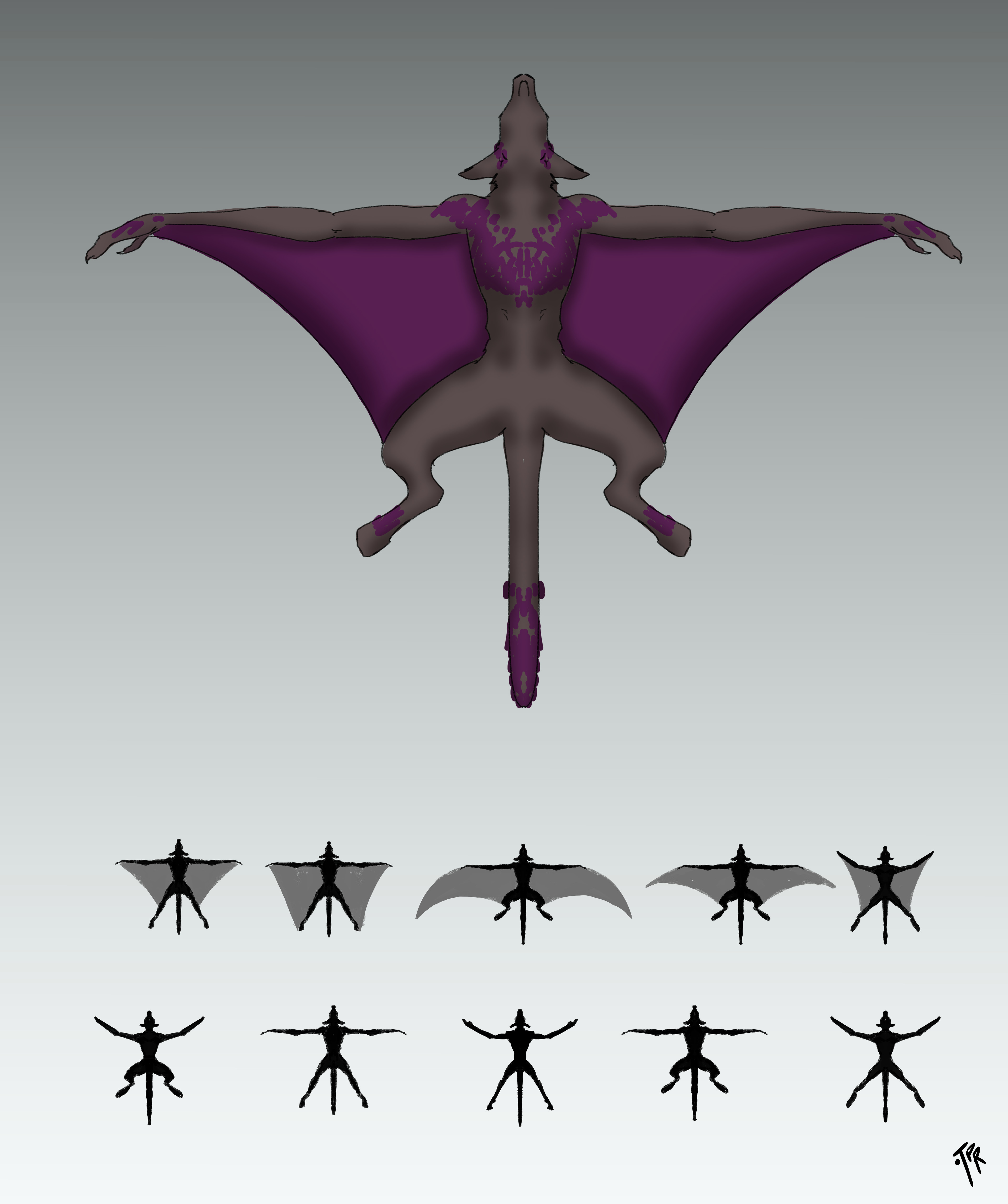 gliding pose variations , shot from below