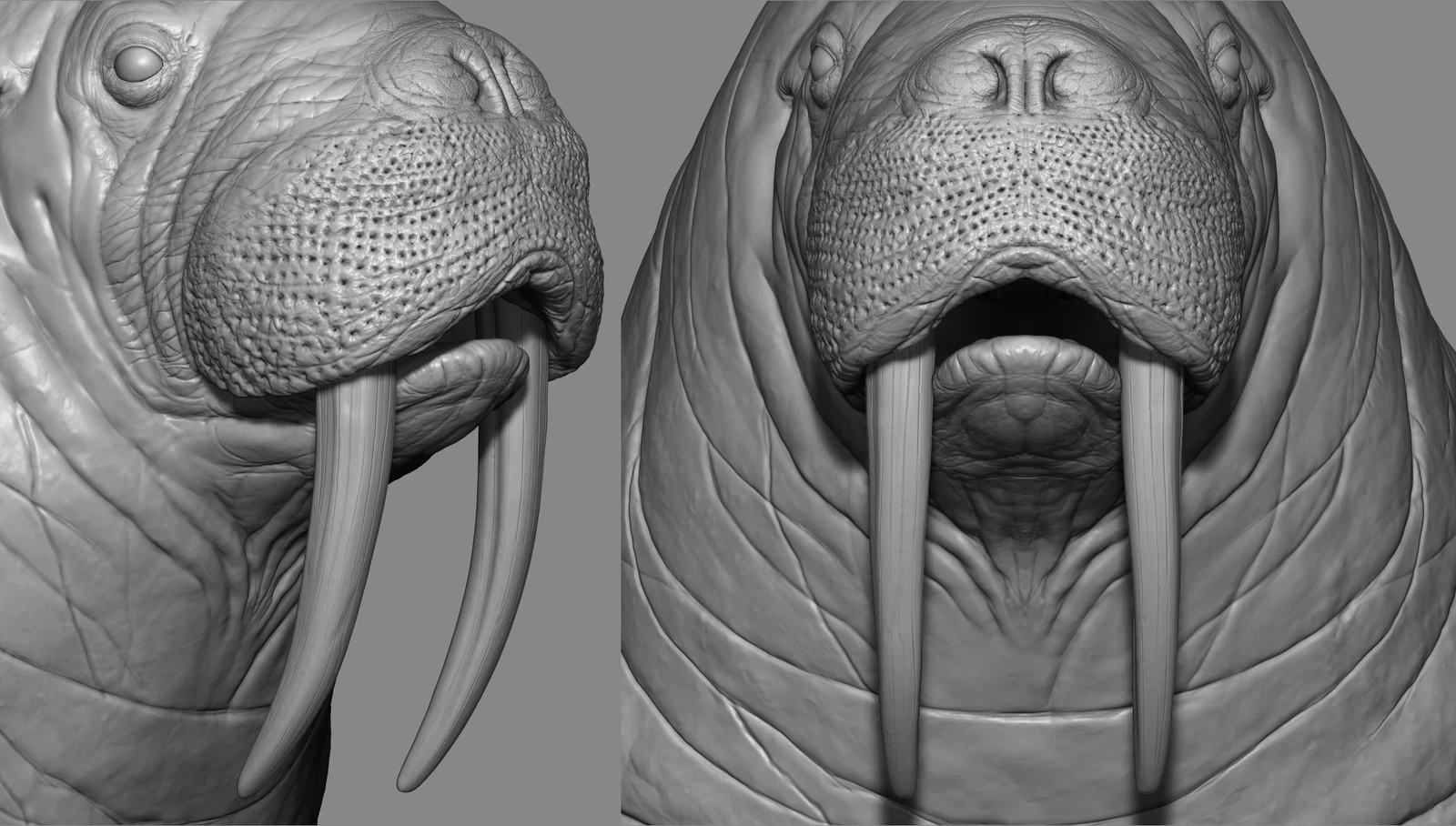 Tusks sculpting