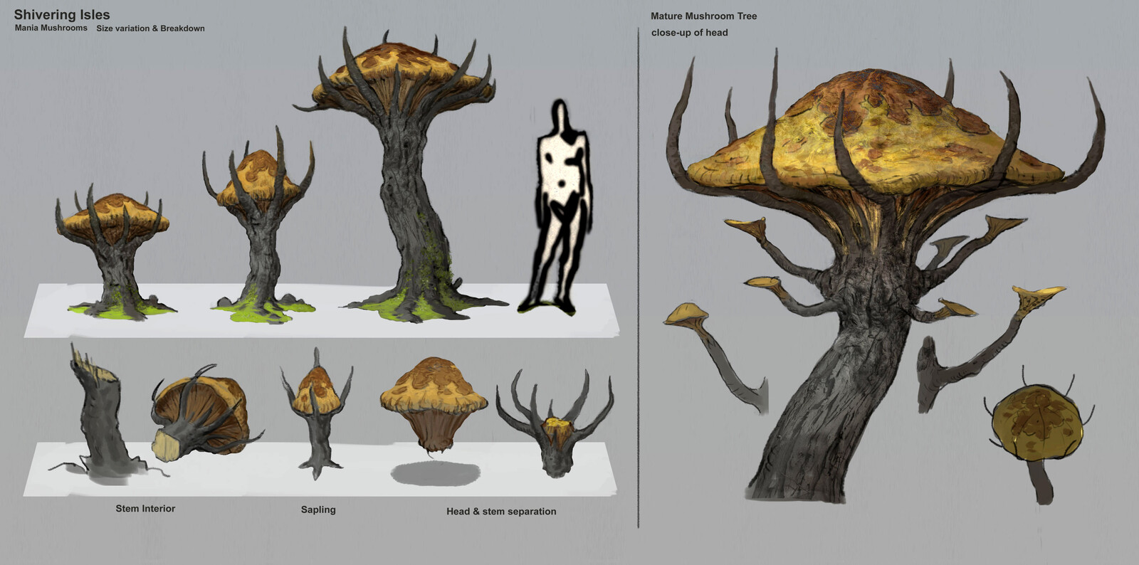 Shivering Isles - Mushrooms