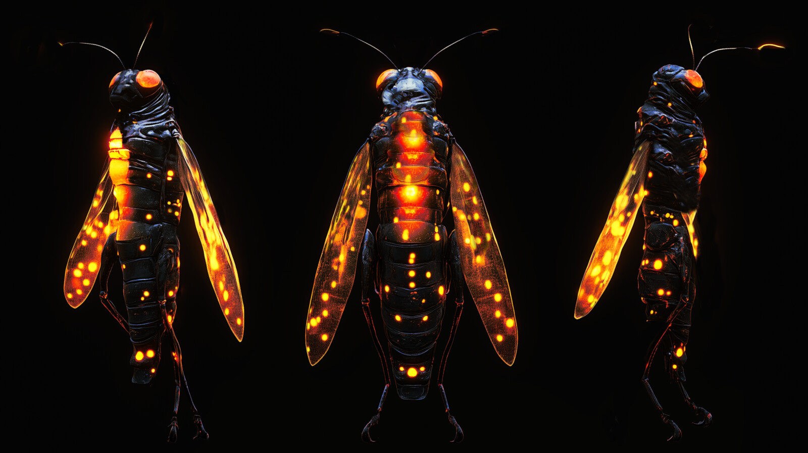 Firefly (Variations)