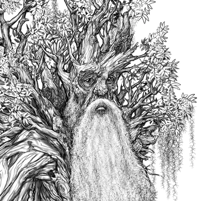 Treebeard