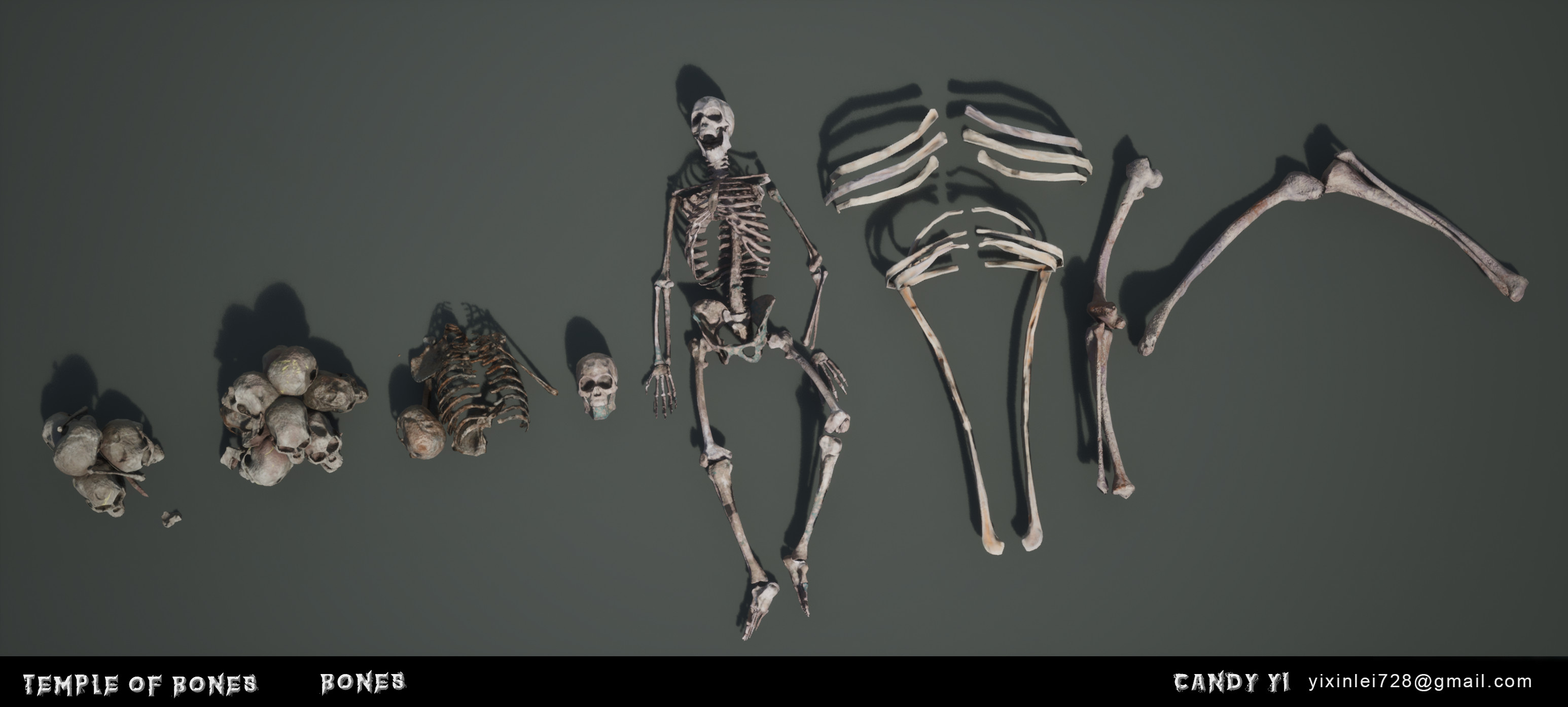 Bones