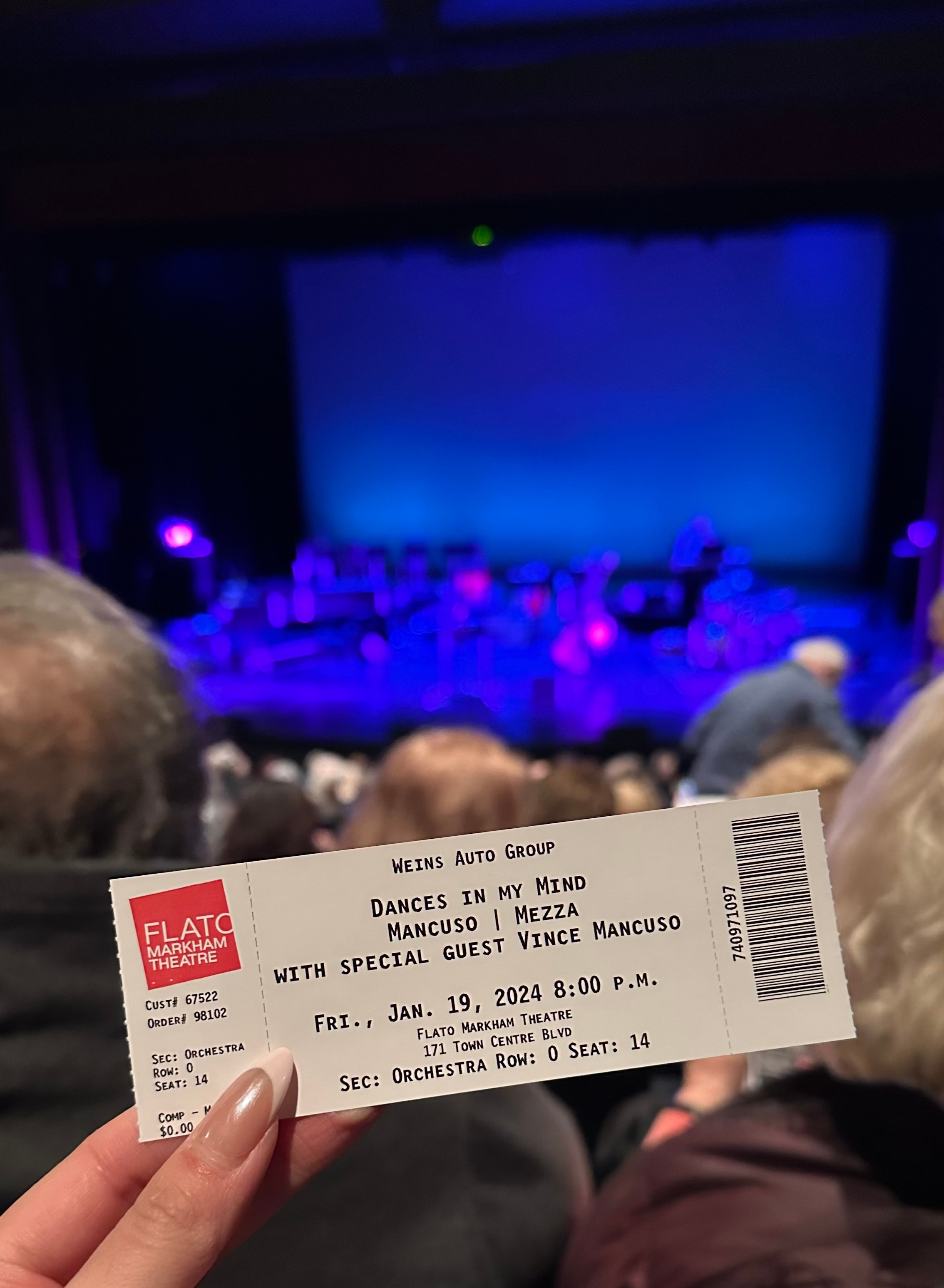 The Show is the culmination of 24 years of Multi Media art performances as Mancuso Squared.